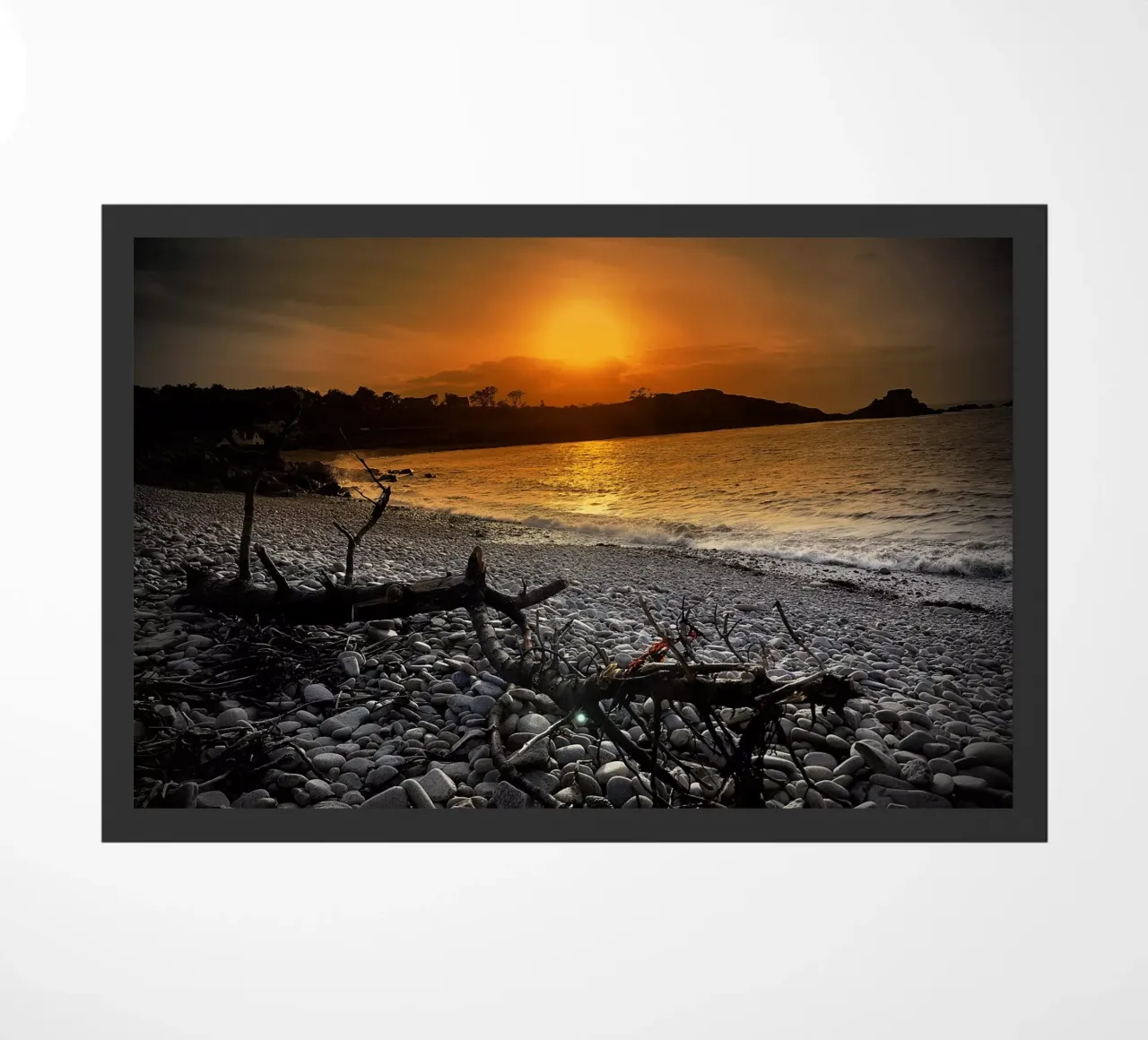 FAA54 zerbino da Thierry vobmann photography