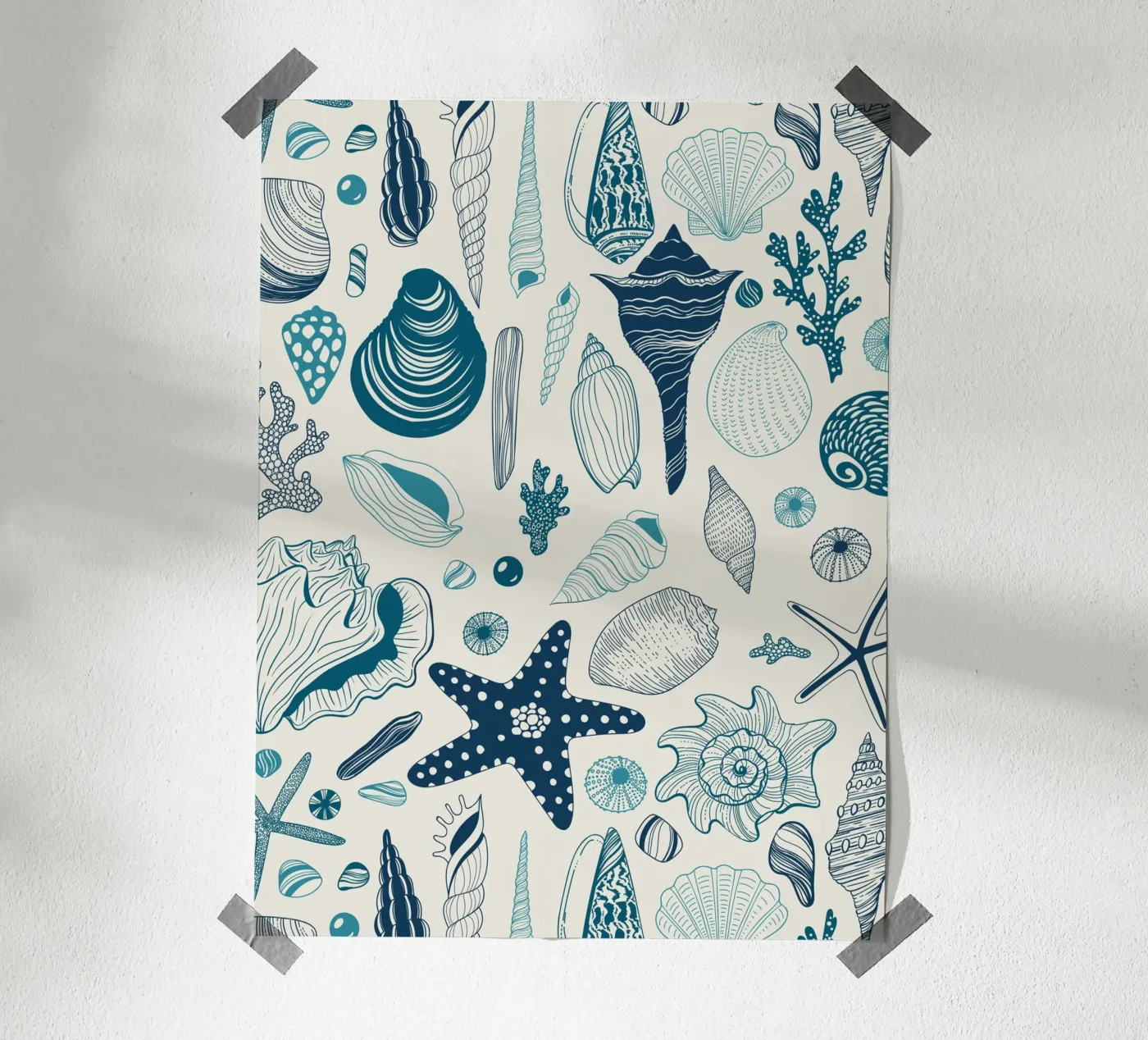 Sea shells poster by Painted Nature