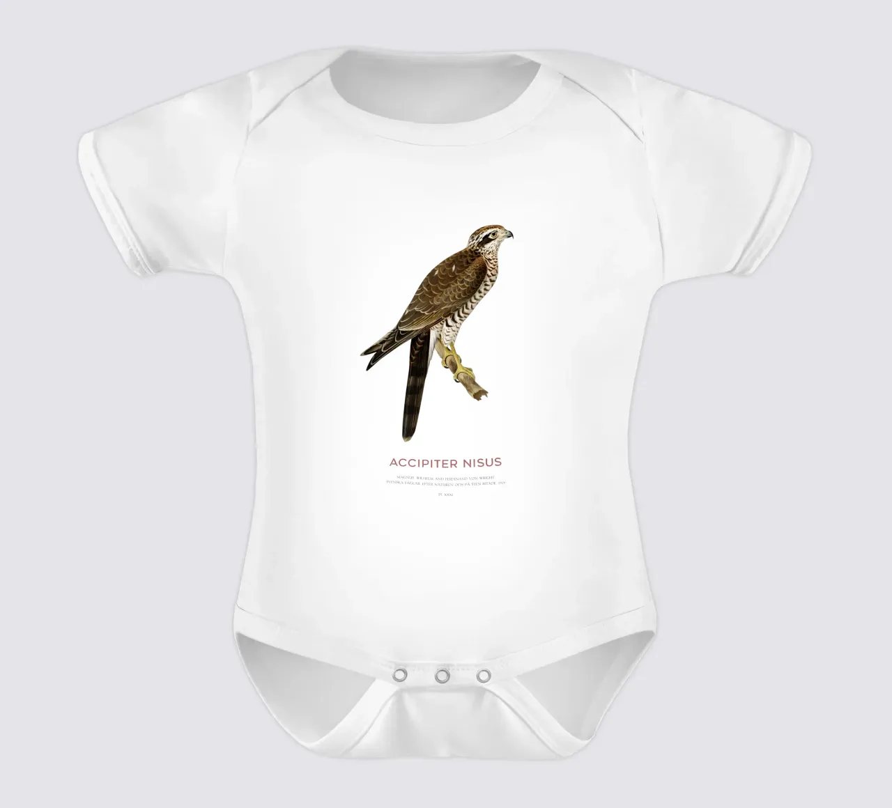 Sperber oder Accipiter nisus Kurzarm Babybody von Vintagrafica
