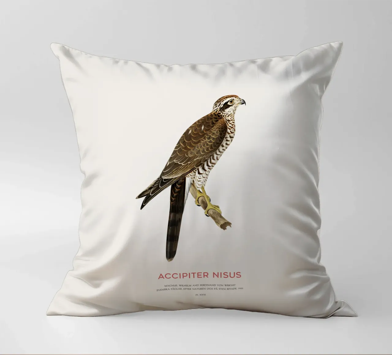 Sparviero eurasiatico o Accipiter nisus cuscino da Vintagrafica