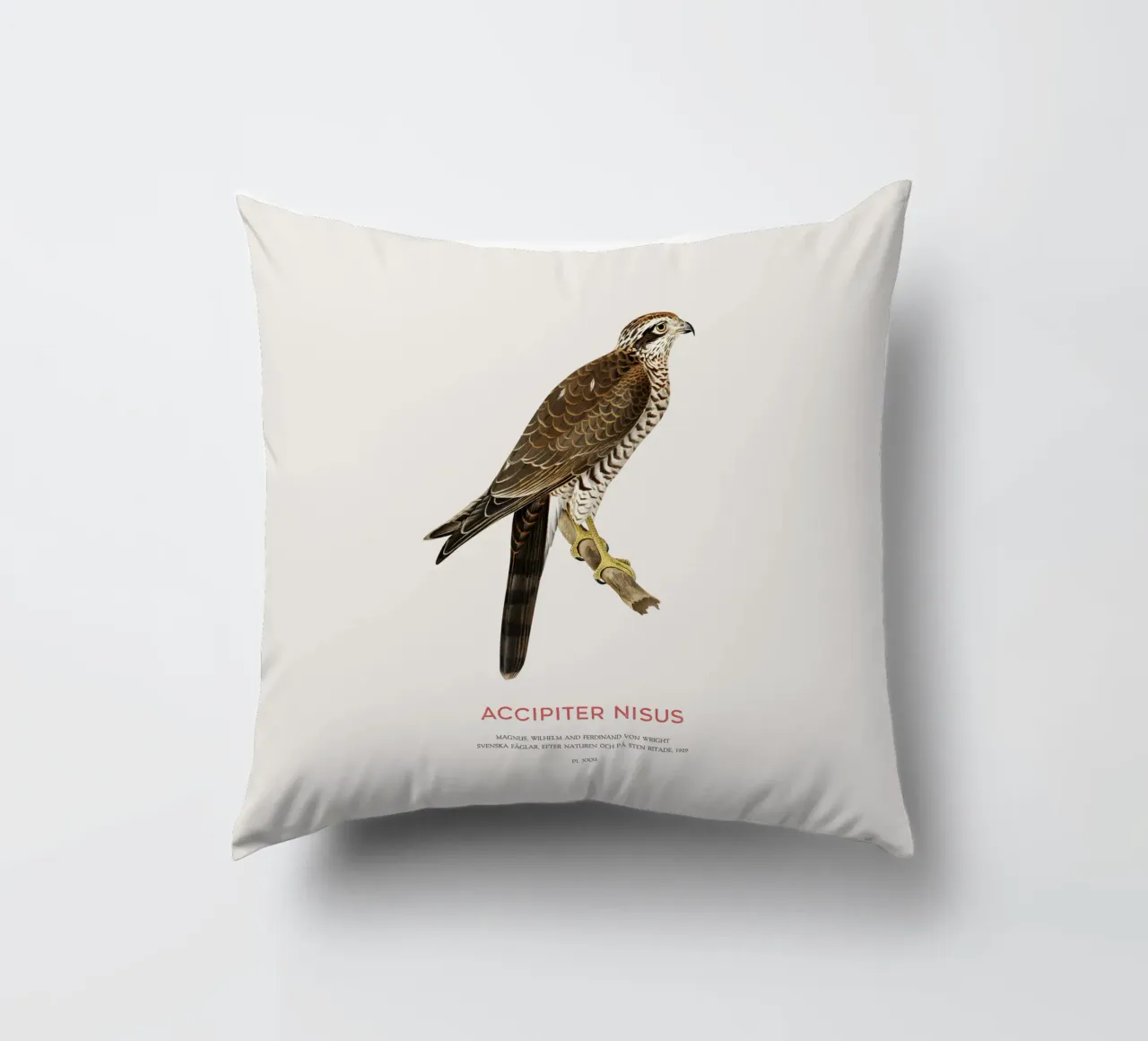 Sparviero eurasiatico o Accipiter nisus cuscino da Vintagrafica