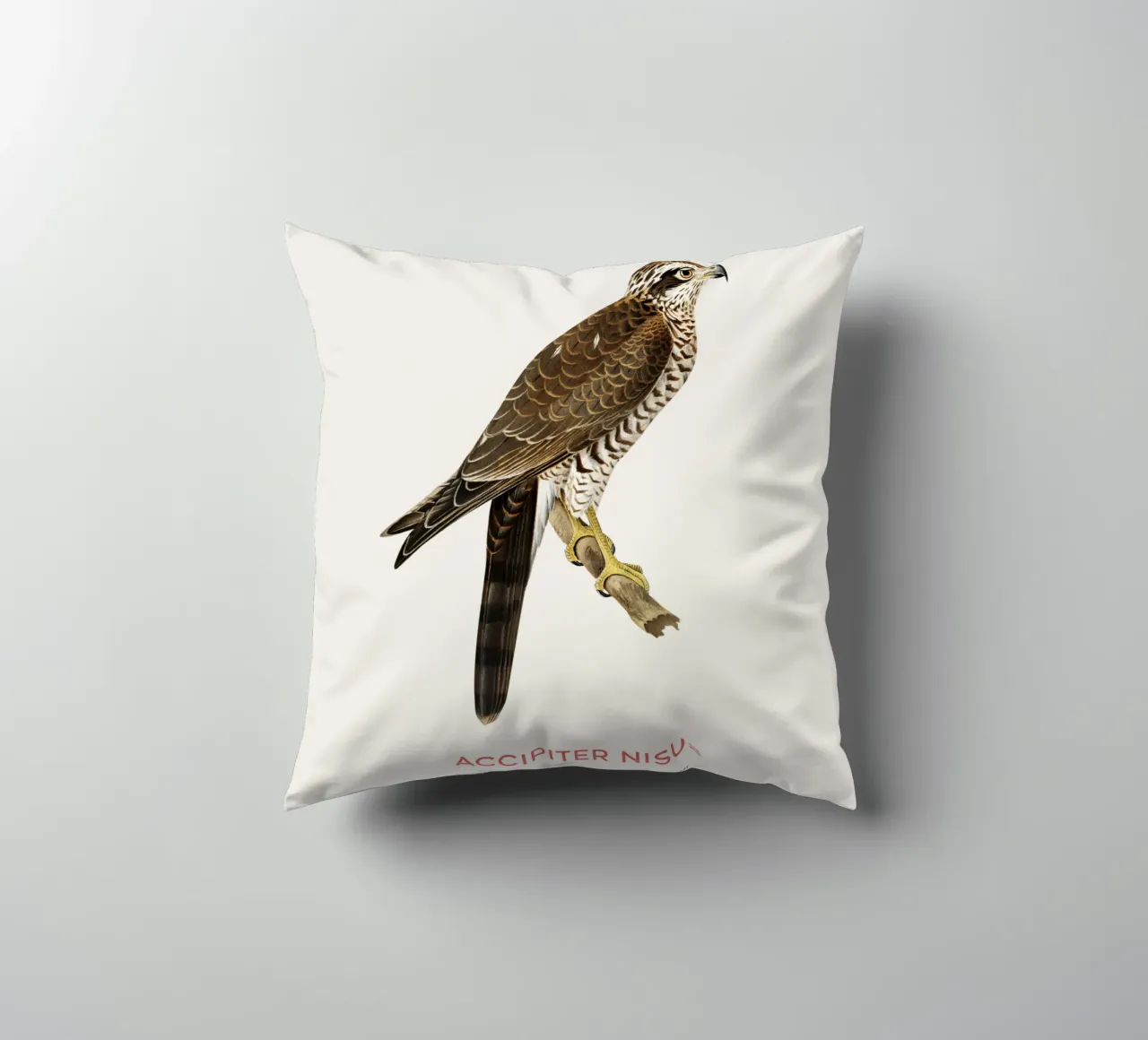 Sparviero eurasiatico o Accipiter nisus cuscino da Vintagrafica