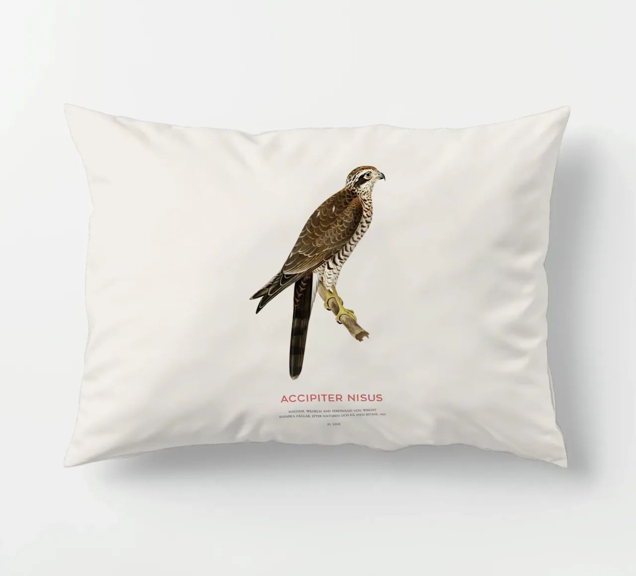 Sparviero eurasiatico o Accipiter nisus cuscino da Vintagrafica