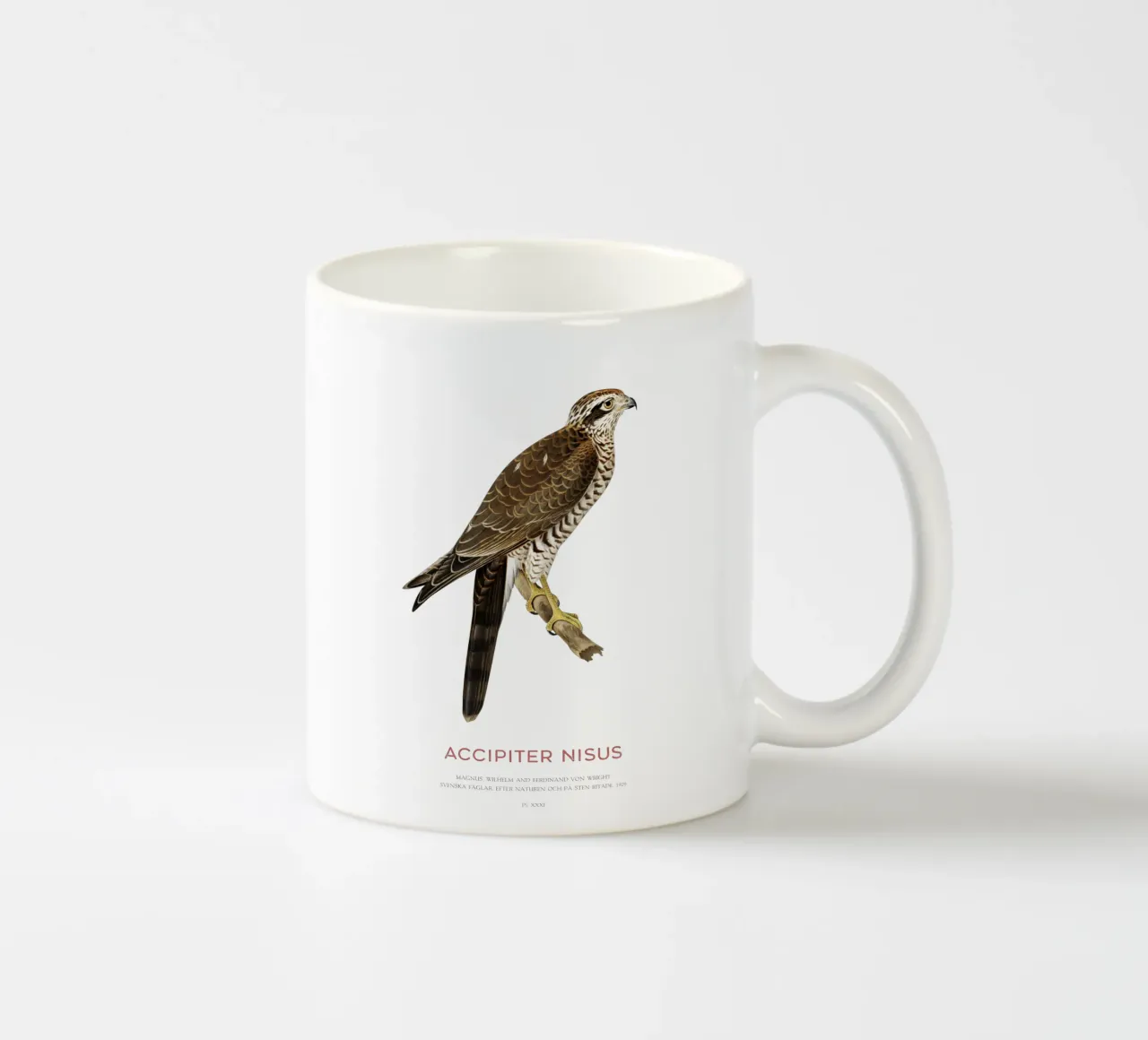 Sparviero eurasiatico o Accipiter nisus tazza in ceramica da Vintagrafica