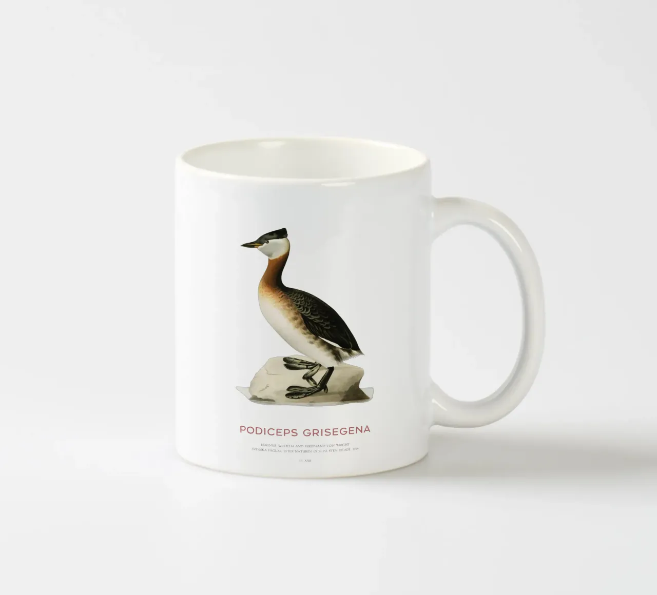 Svasso maggiore o Podiceps grisegena tazza in ceramica da Vintagrafica