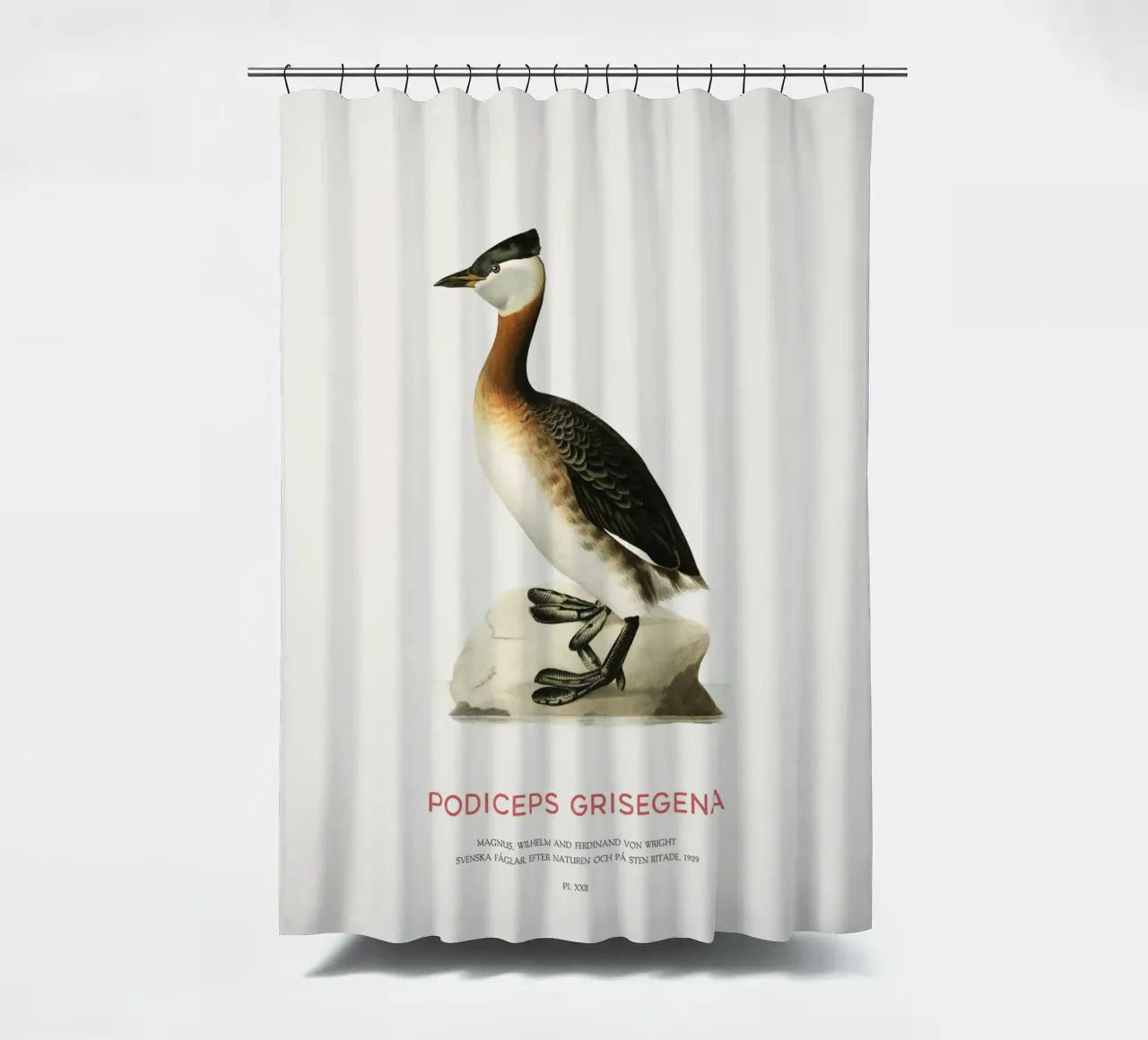 Rothalstaucher oder Podiceps grisegena Duschvorhang von Vintagrafica