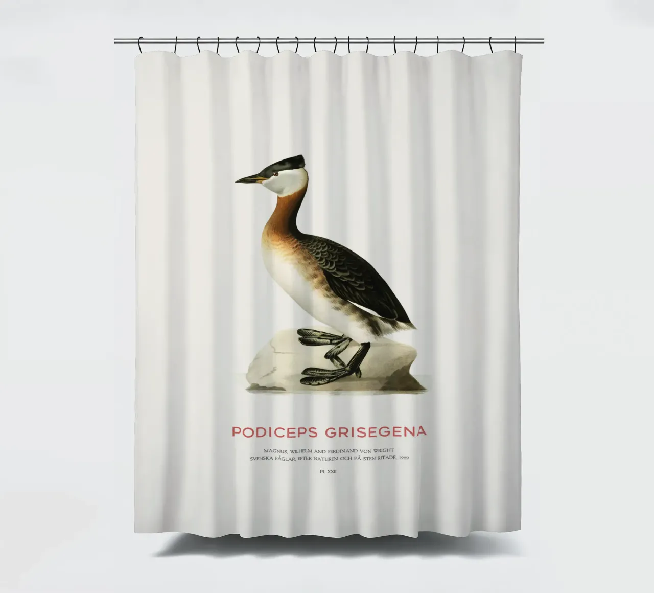 Rothalstaucher oder Podiceps grisegena Duschvorhang von Vintagrafica