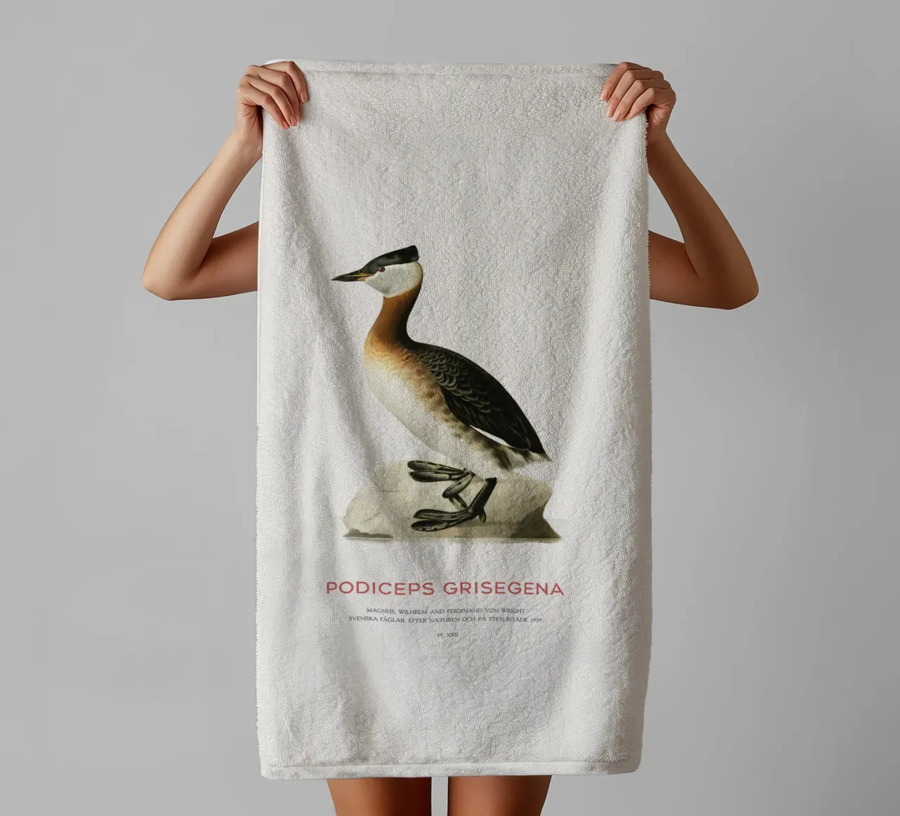 Rothalstaucher oder Podiceps grisegena Handtuch von Vintagrafica