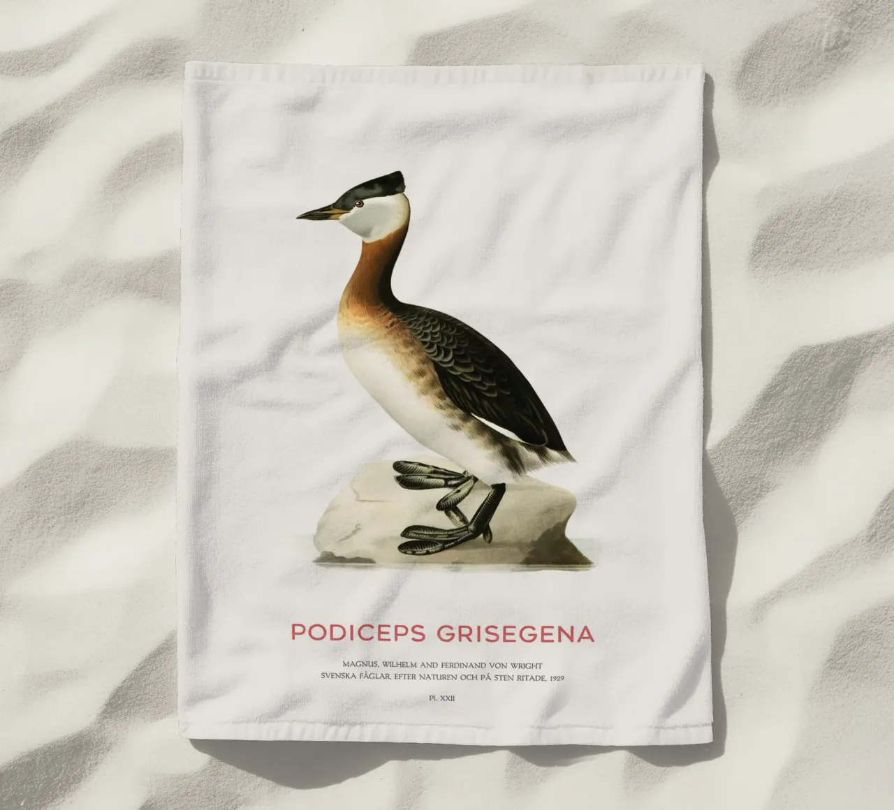 Red-necked grebe or Podiceps grisegena beach towel by Vintagrafica