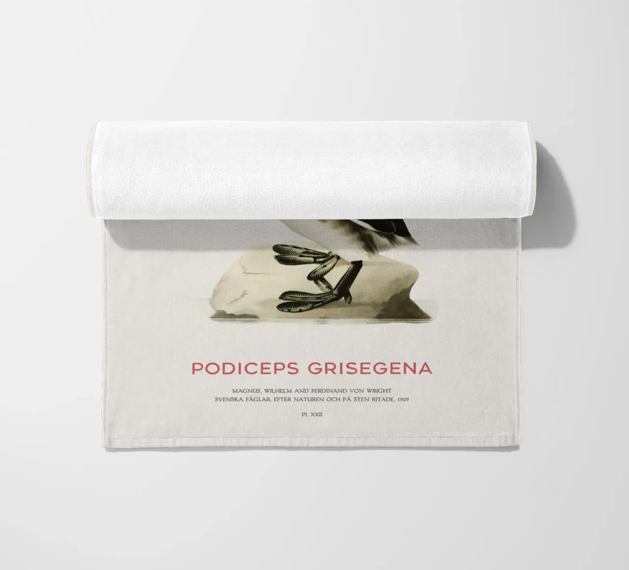 Red-necked grebe or Podiceps grisegena beach towel by Vintagrafica