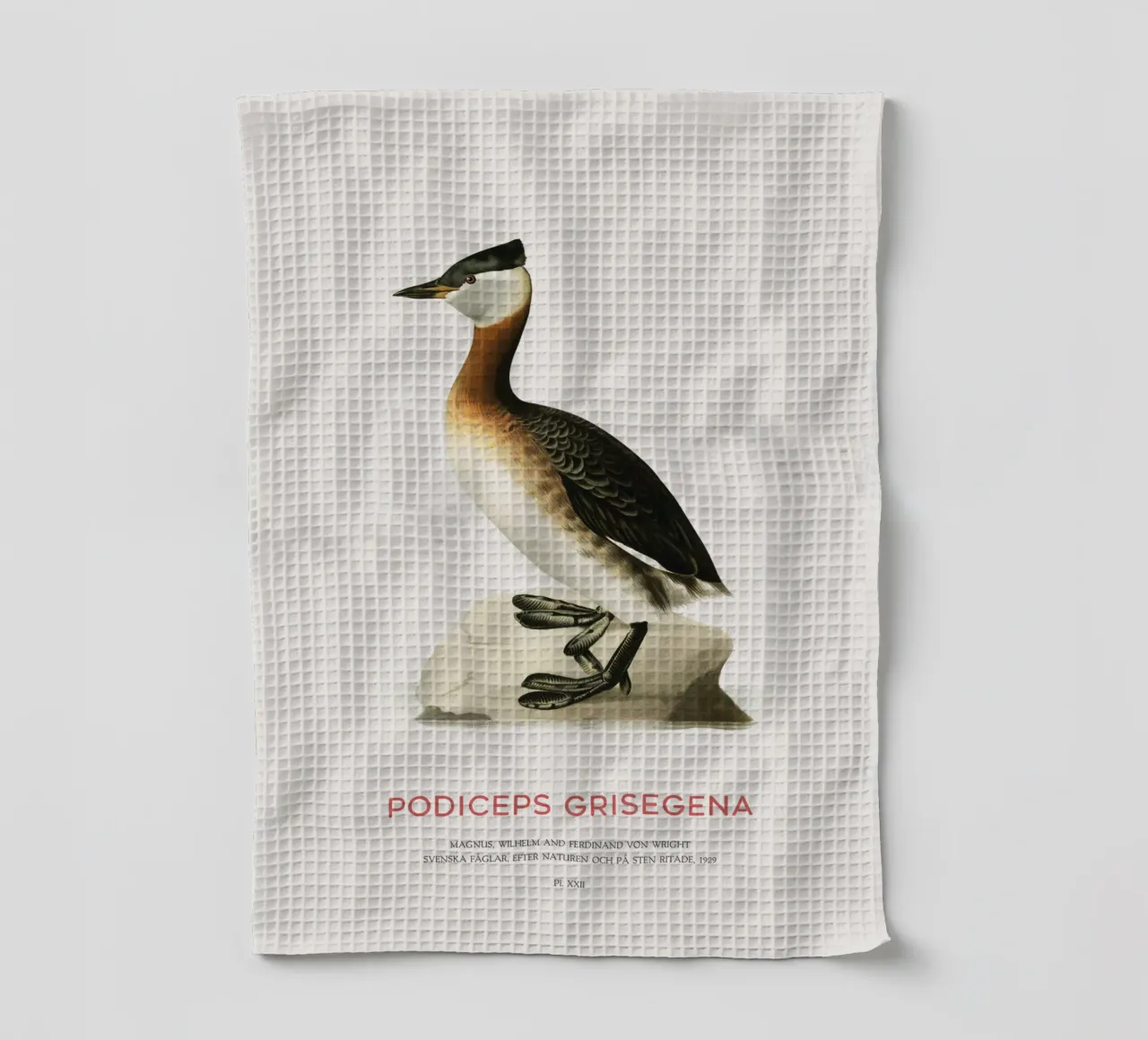 Grèbe à cou roux ou Podiceps grisegena torchon de Vintagrafica