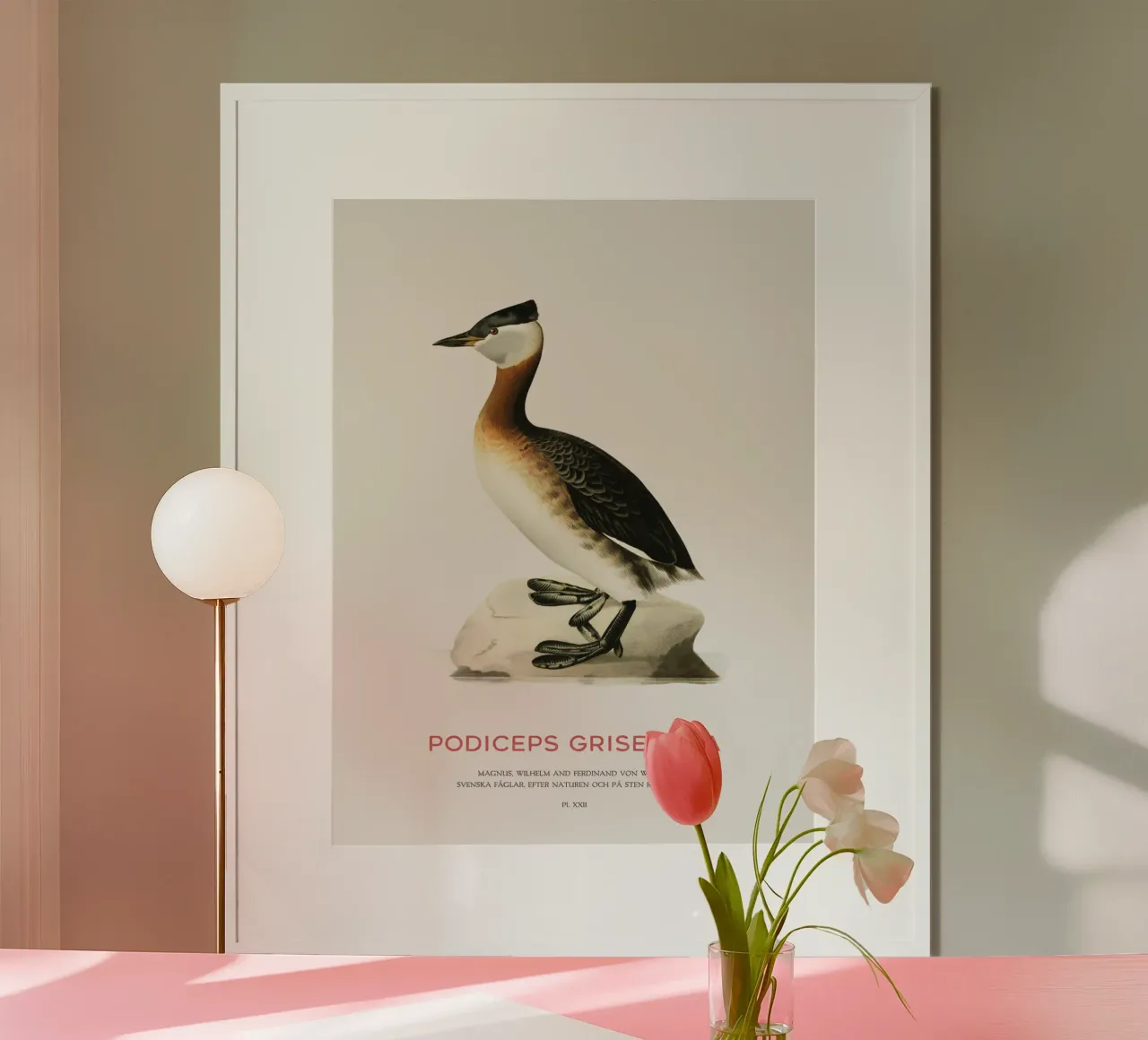 Rothalstaucher oder Podiceps grisegena Hahnemühle von Vintagrafica