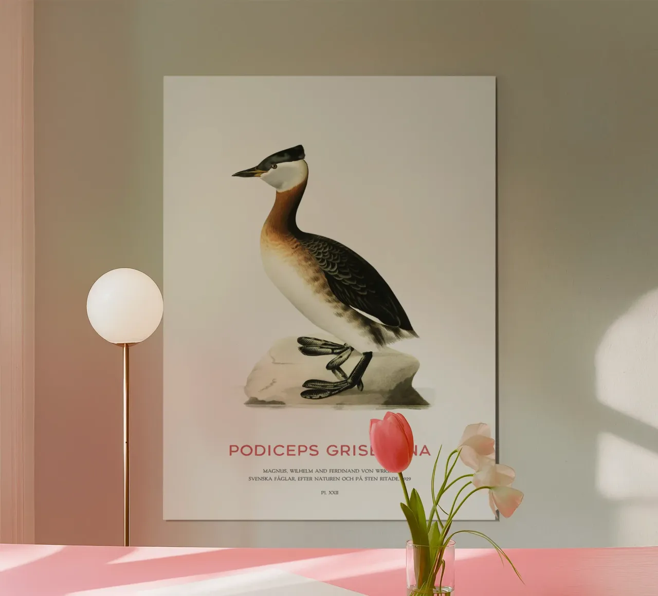 Rothalstaucher oder Podiceps grisegena Hahnemühle von Vintagrafica