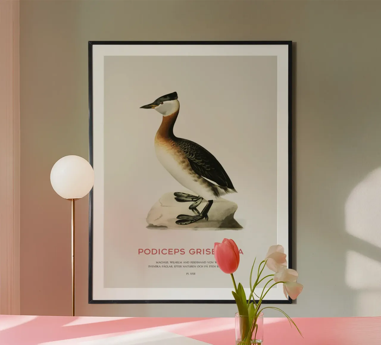 Rothalstaucher oder Podiceps grisegena Hahnemühle von Vintagrafica