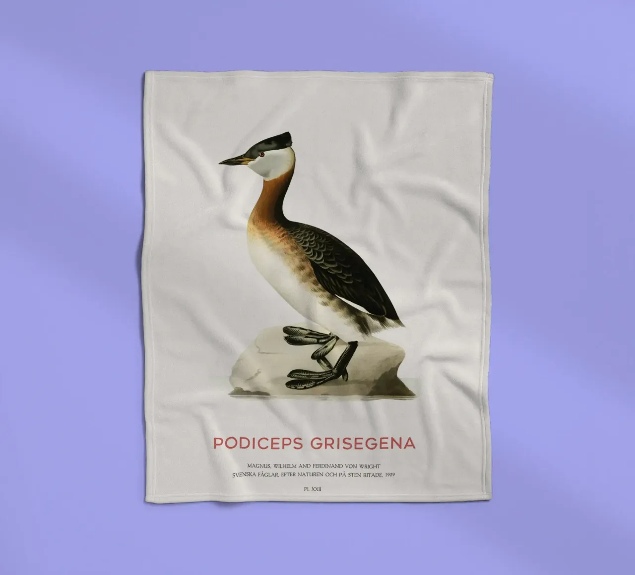 Svasso maggiore o Podiceps grisegena coperta in pile da Vintagrafica