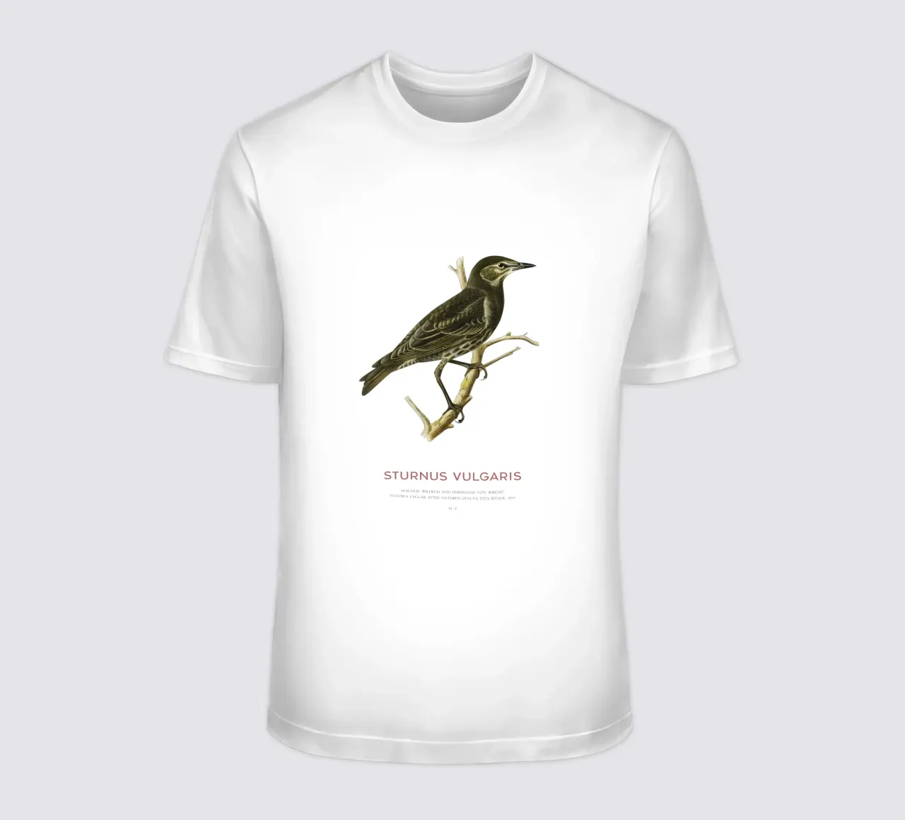 European starling or Sturnus vulgaris t-shirt by Vintagrafica