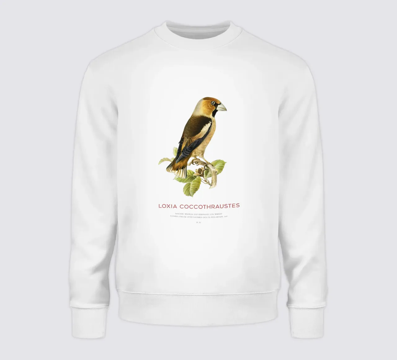 Kernbeißer oder Loxia coccothraustes Sweatshirt von Vintagrafica