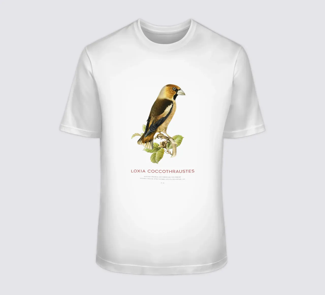 Kernbeißer oder Loxia coccothraustes T-Shirt von Vintagrafica