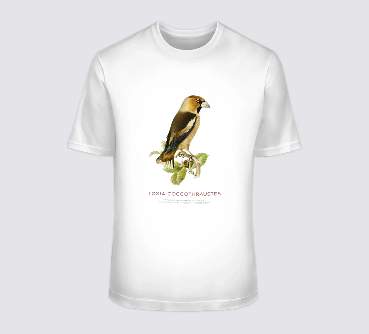 Kernbeißer oder Loxia coccothraustes T-Shirt von Vintagrafica