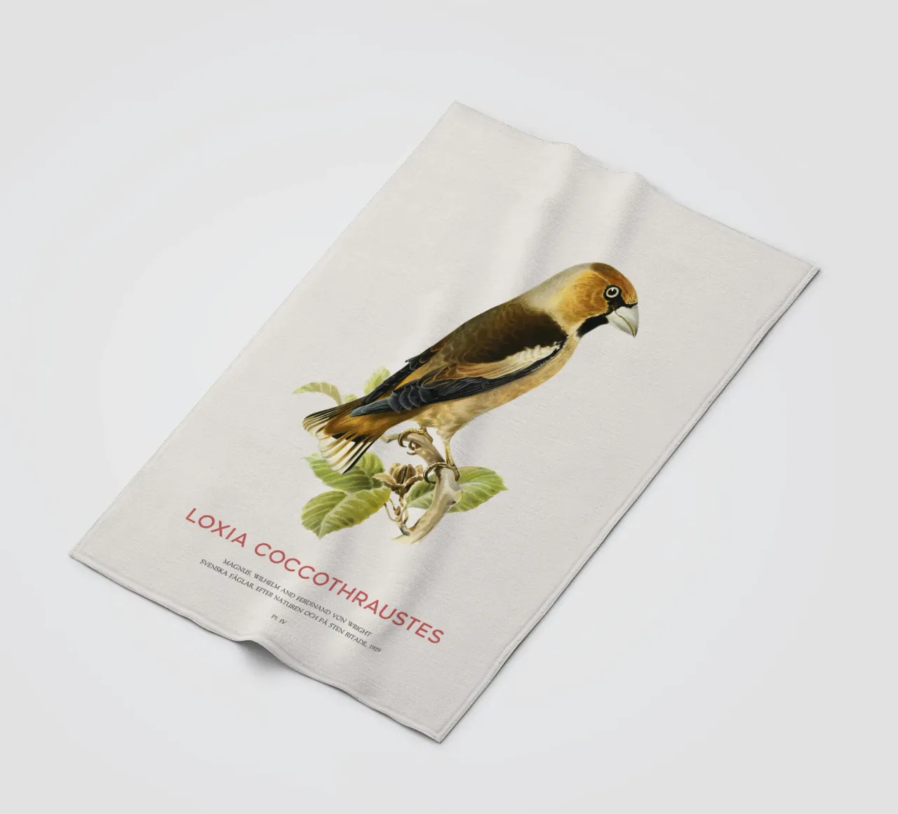 Kernbeißer oder Loxia coccothraustes Fleecedecke von Vintagrafica