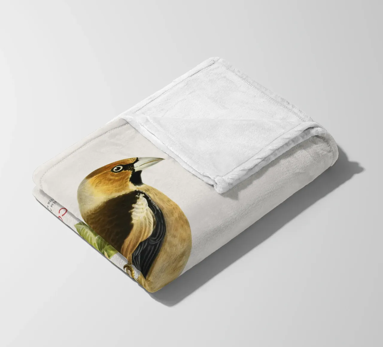 Kernbeißer oder Loxia coccothraustes Fleecedecke von Vintagrafica