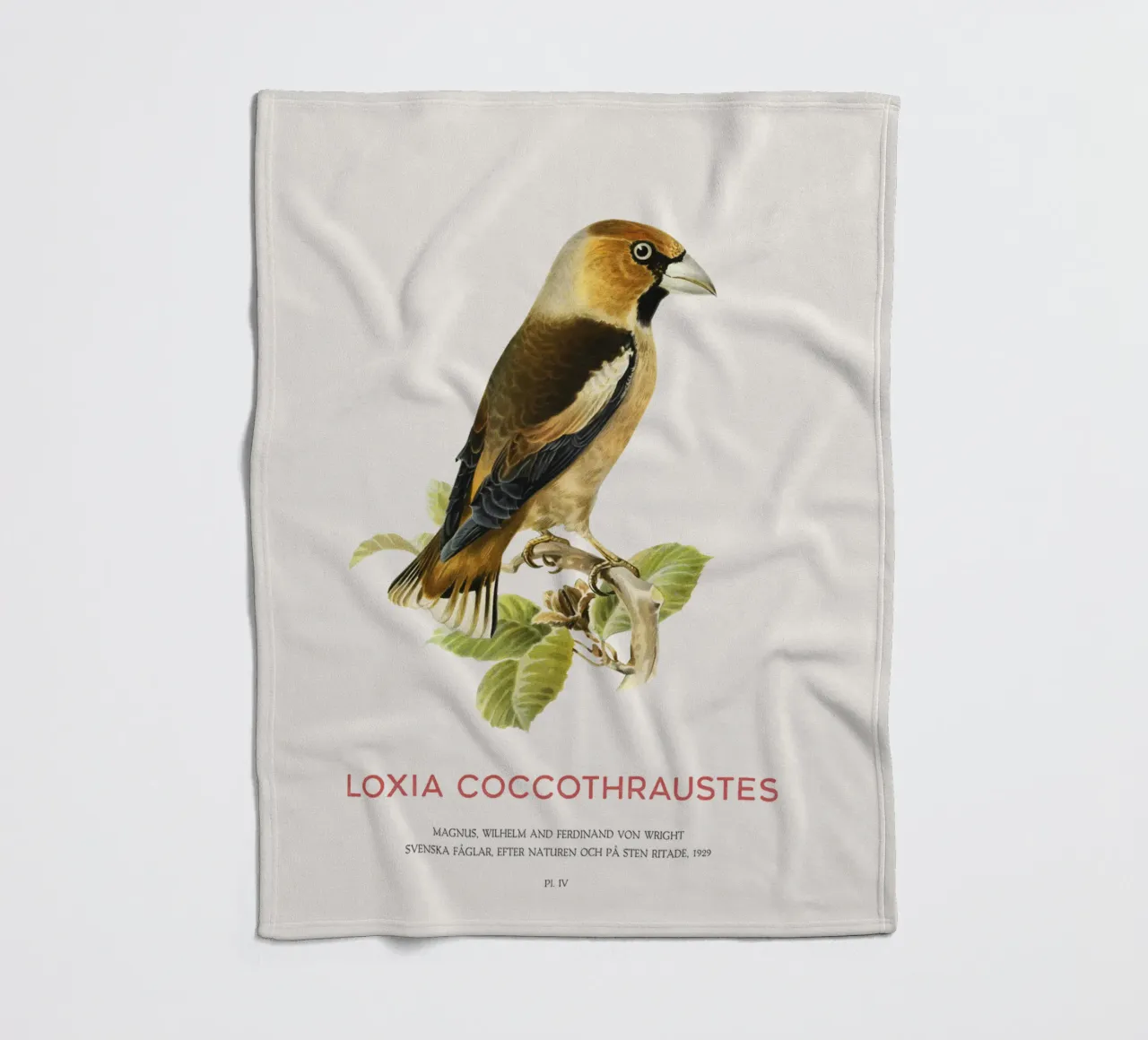 Kernbeißer oder Loxia coccothraustes Fleecedecke von Vintagrafica