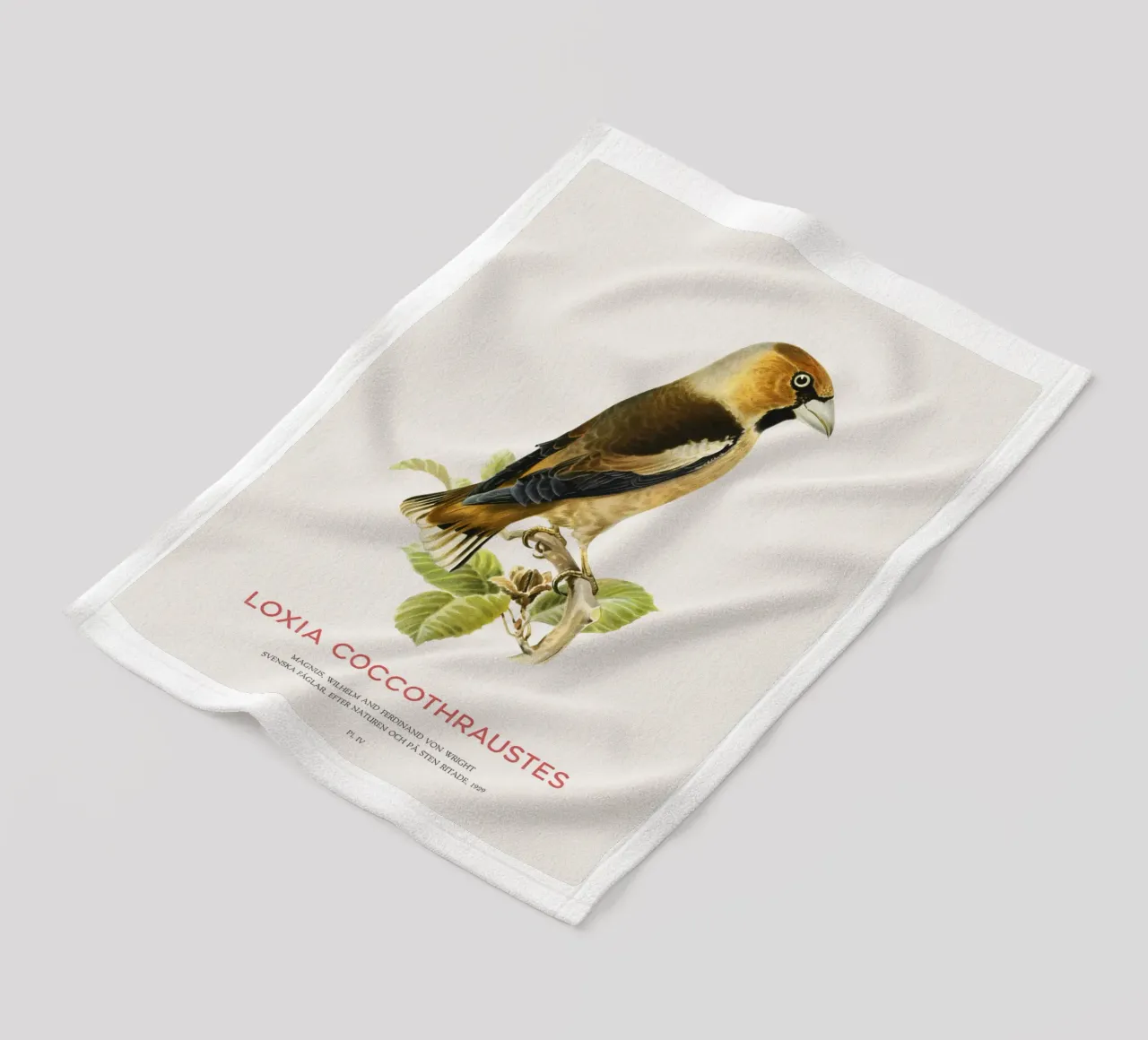 Kernbeißer oder Loxia coccothraustes Fleecedecke von Vintagrafica