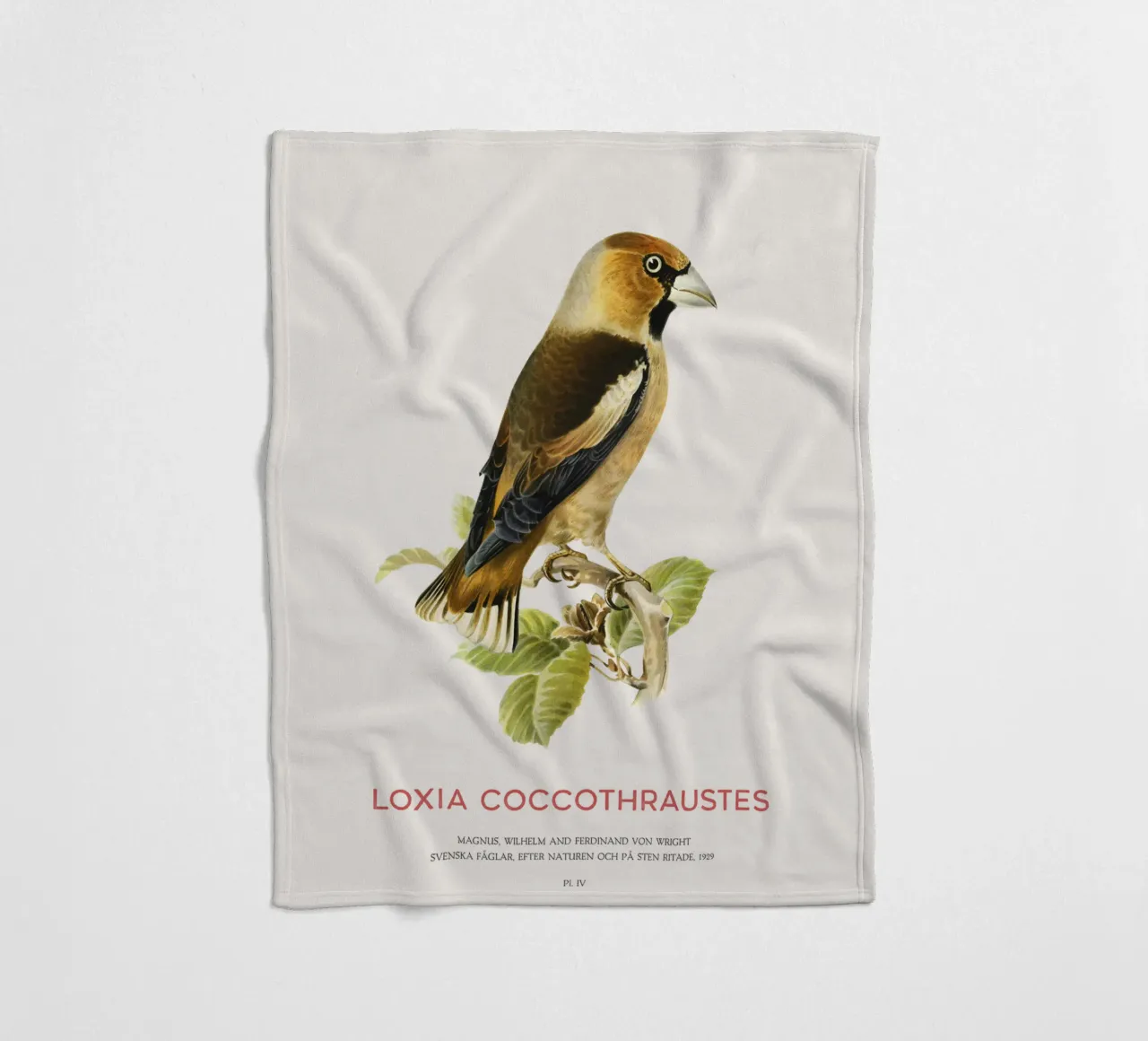 Kernbeißer oder Loxia coccothraustes Fleecedecke von Vintagrafica
