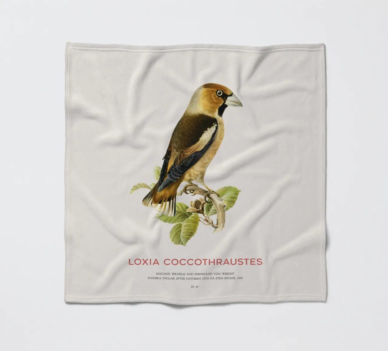 Kernbeißer oder Loxia coccothraustes Fleecedecke von Vintagrafica