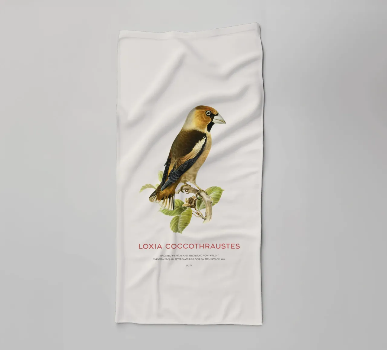 Kernbeißer oder Loxia coccothraustes Handtuch von Vintagrafica