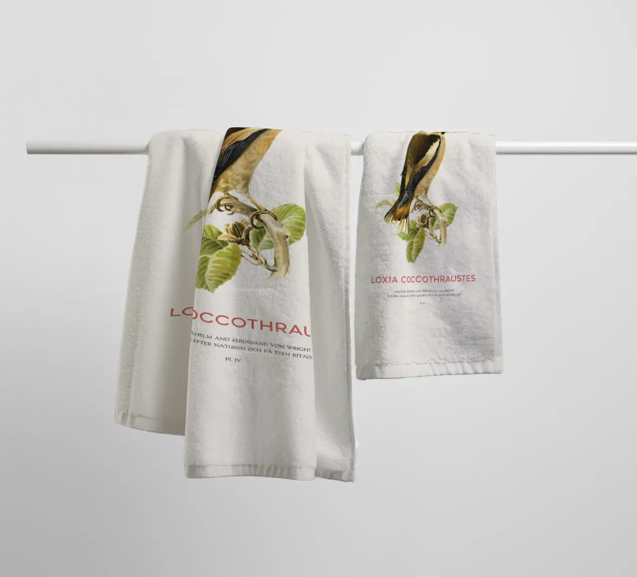 Kernbeißer oder Loxia coccothraustes Handtuch von Vintagrafica