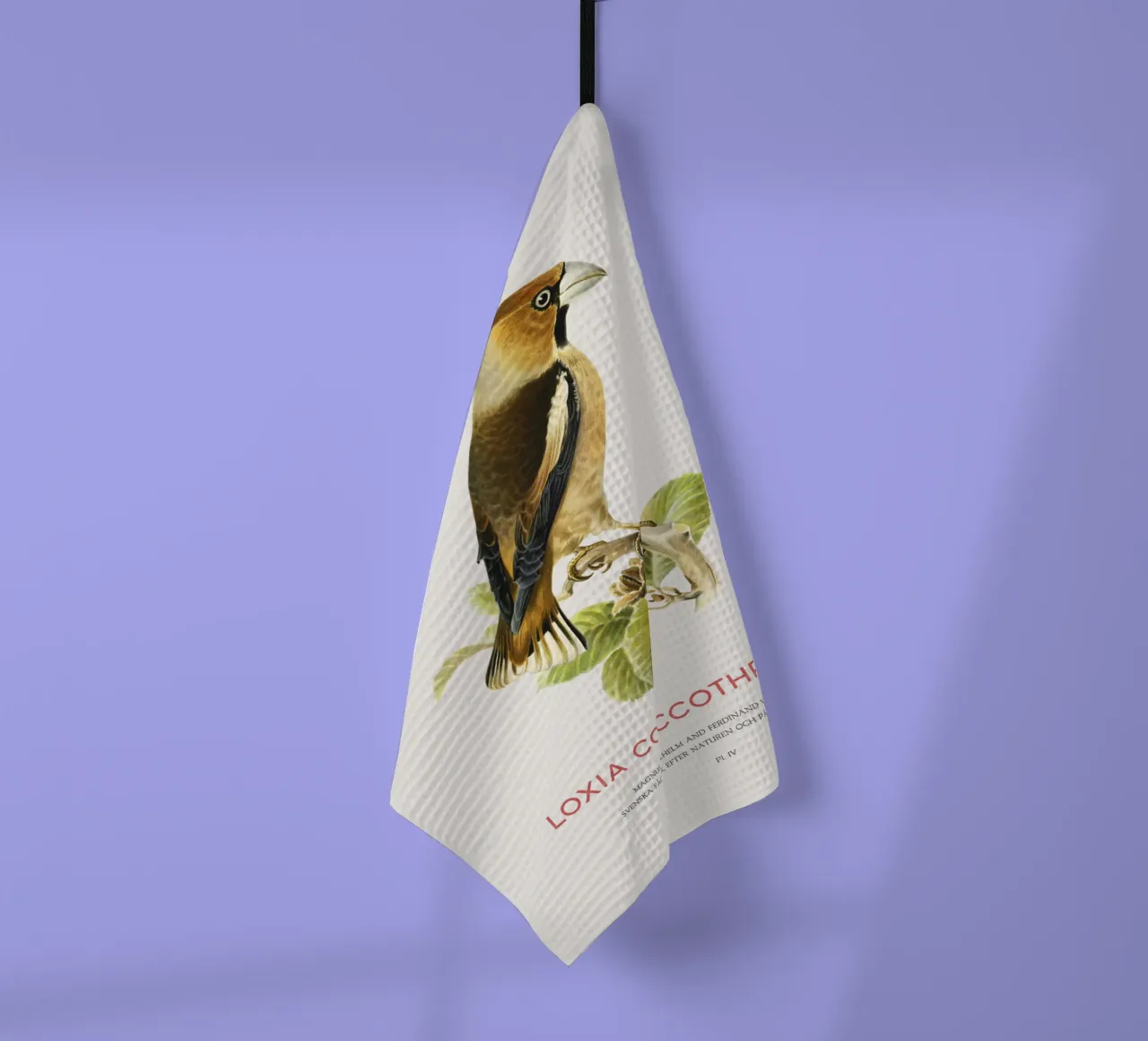 Kernbeißer oder Loxia coccothraustes Geschirrtuch von Vintagrafica