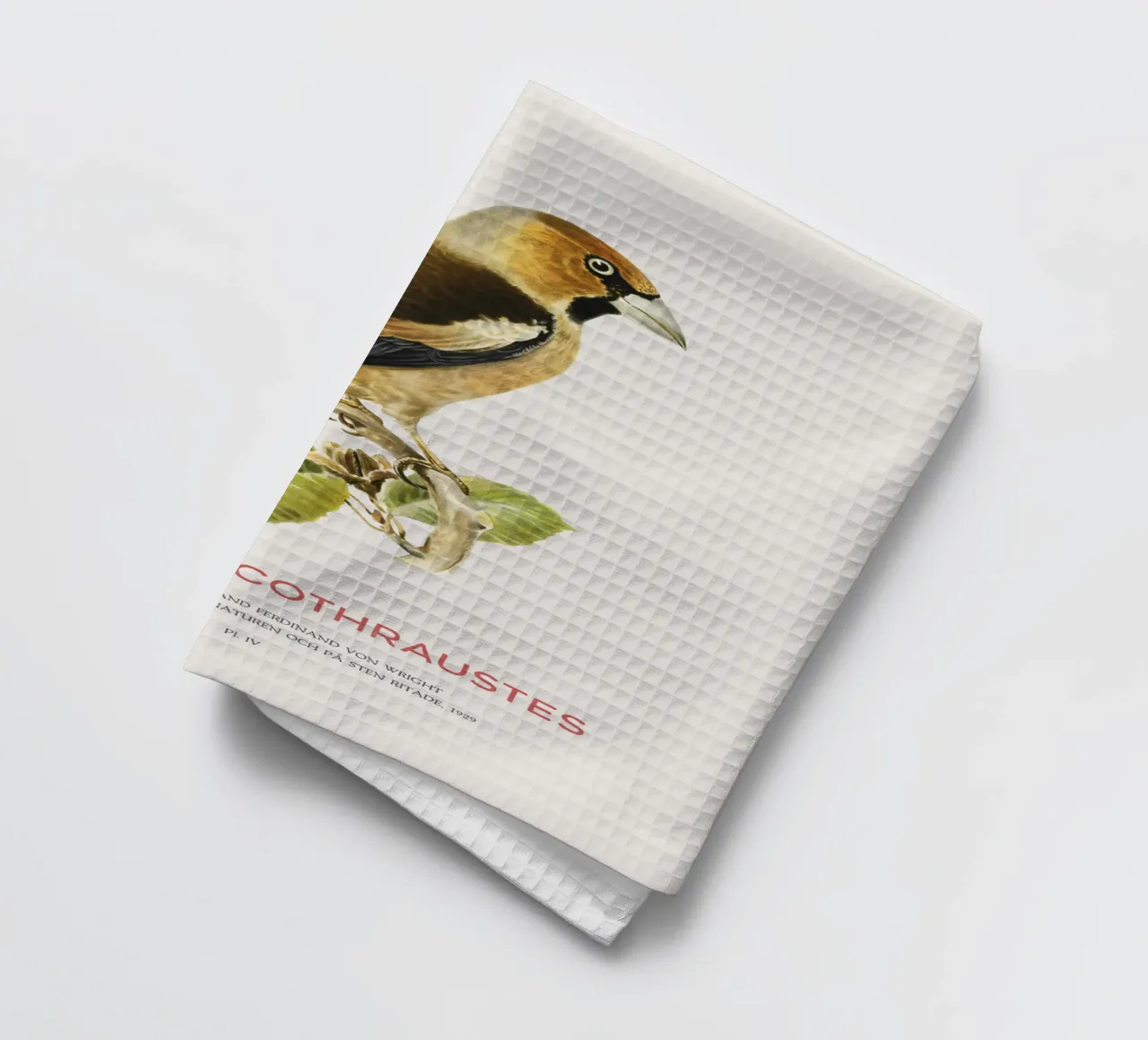 Kernbeißer oder Loxia coccothraustes Geschirrtuch von Vintagrafica