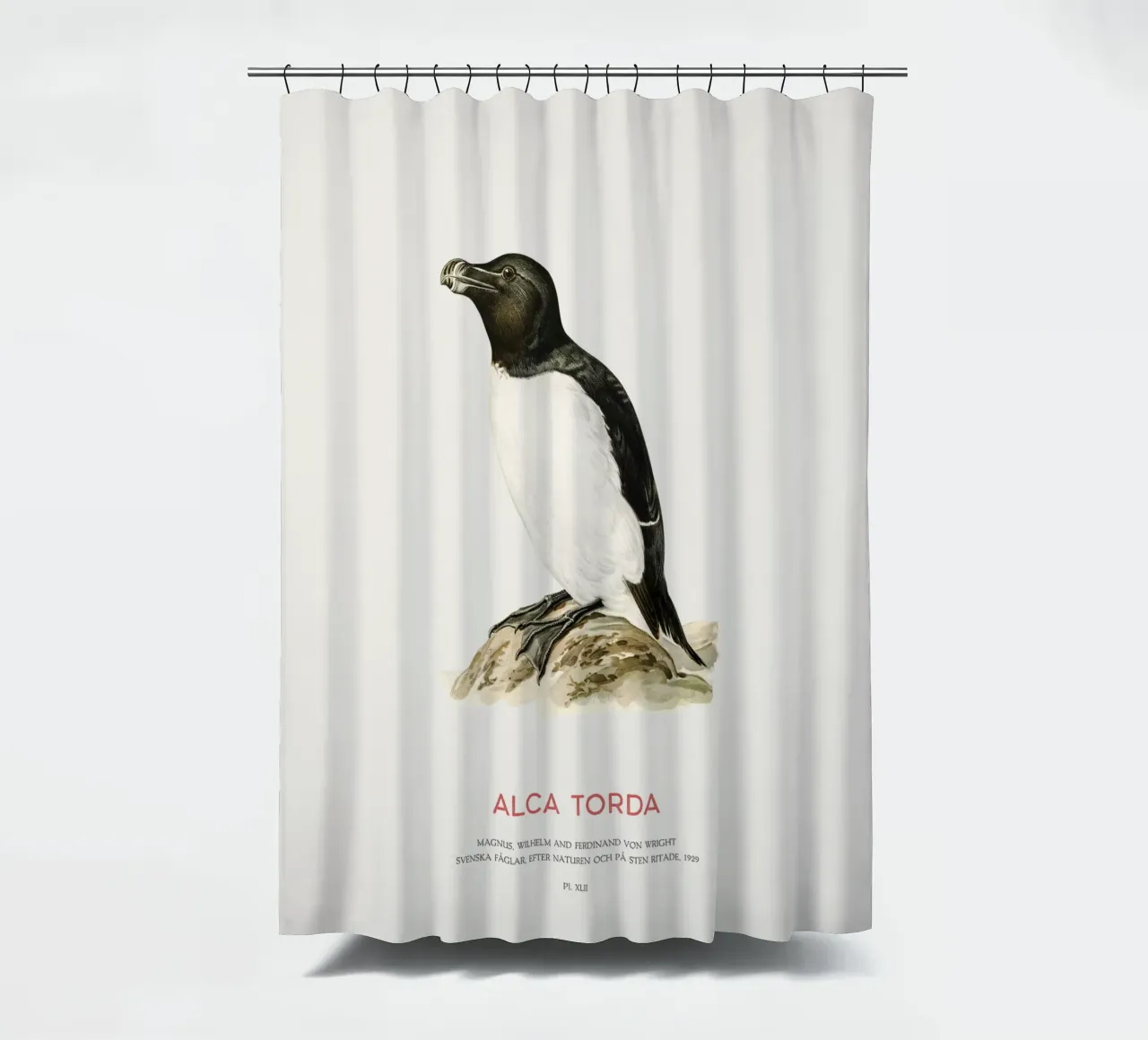Tordalk oder Alca torda Duschvorhang von Vintagrafica