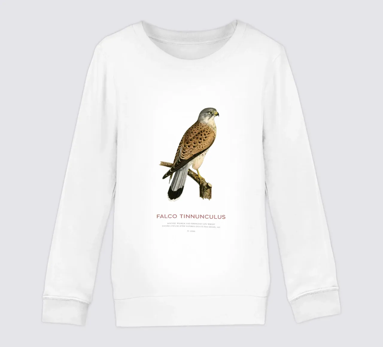 Gheppio europeo o Falco tinnunculus felpa bambino da Vintagrafica