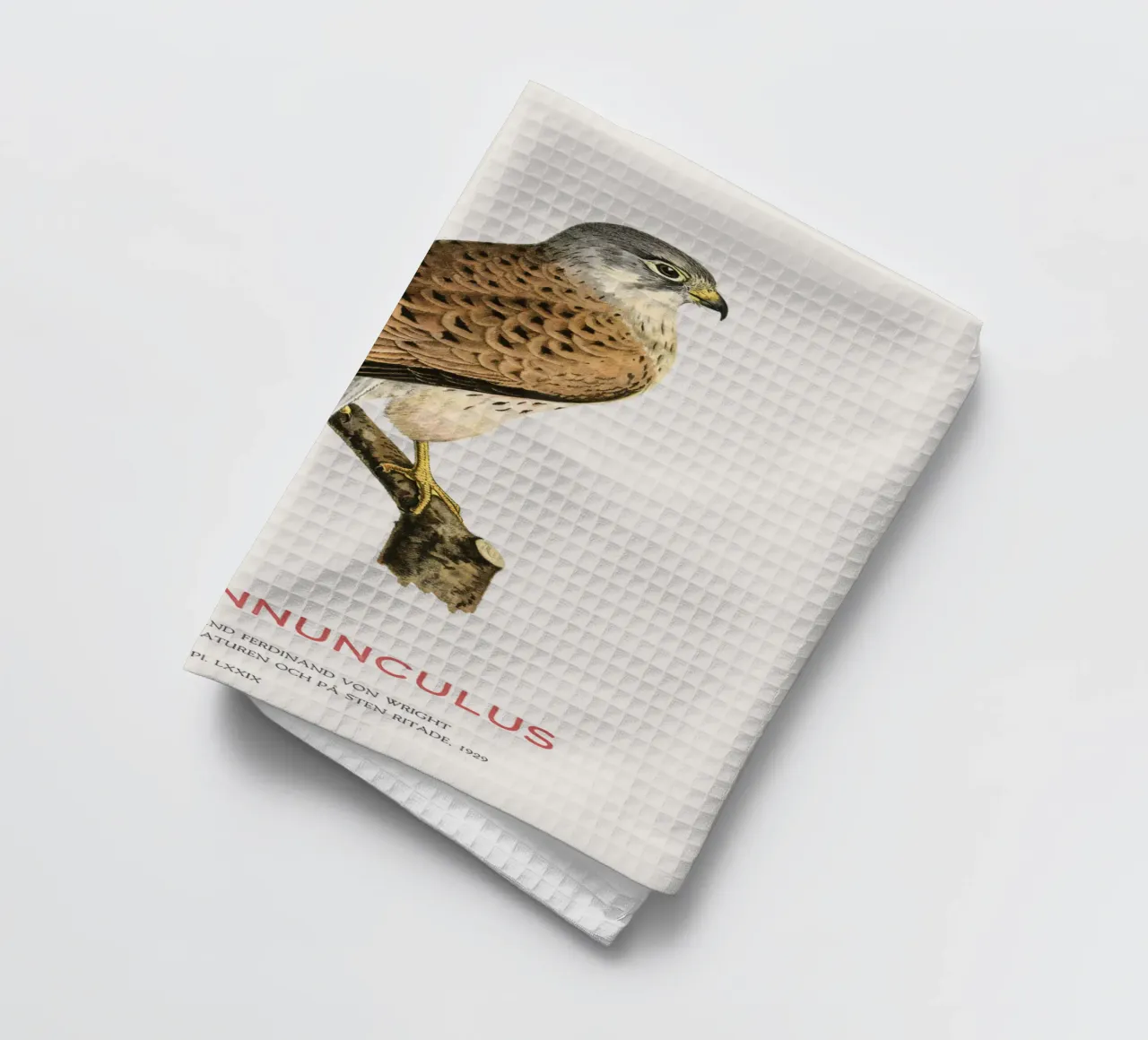Turmfalke oder Falco tinnunculus Geschirrtuch von Vintagrafica