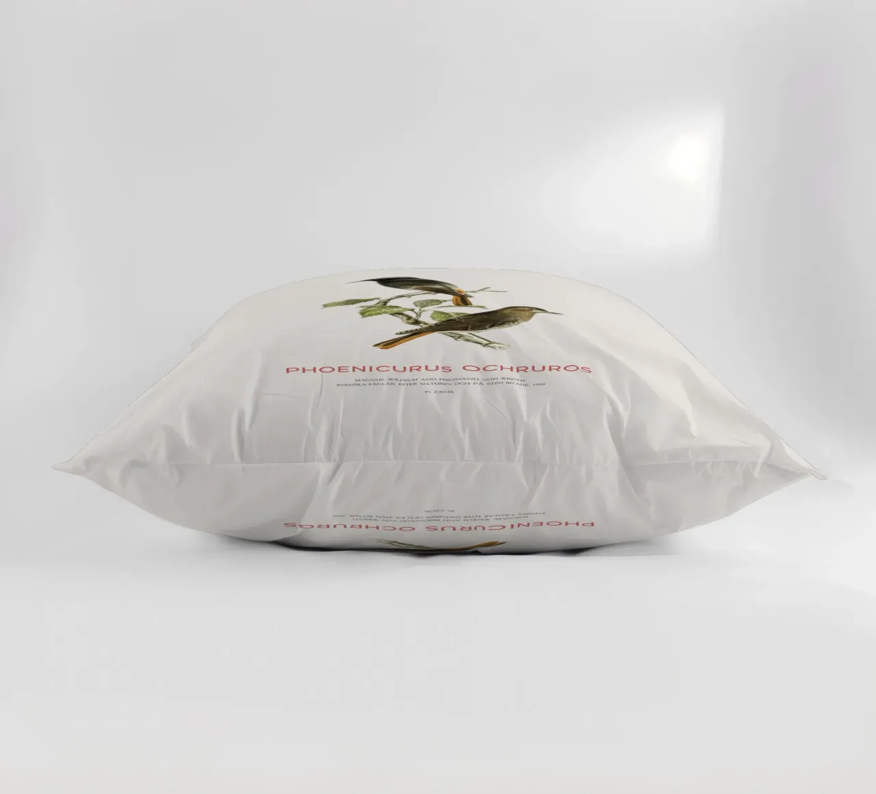 Codirosso nero o Phoenicurus ochruros cuscino da Vintagrafica