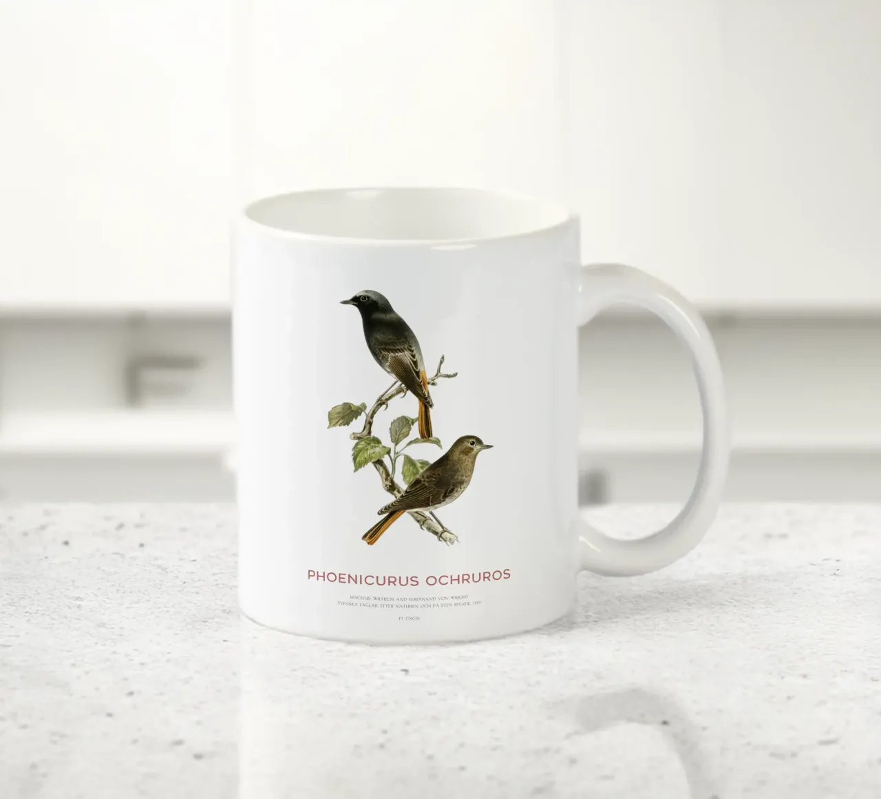 Codirosso nero o Phoenicurus ochruros tazza in ceramica da Vintagrafica