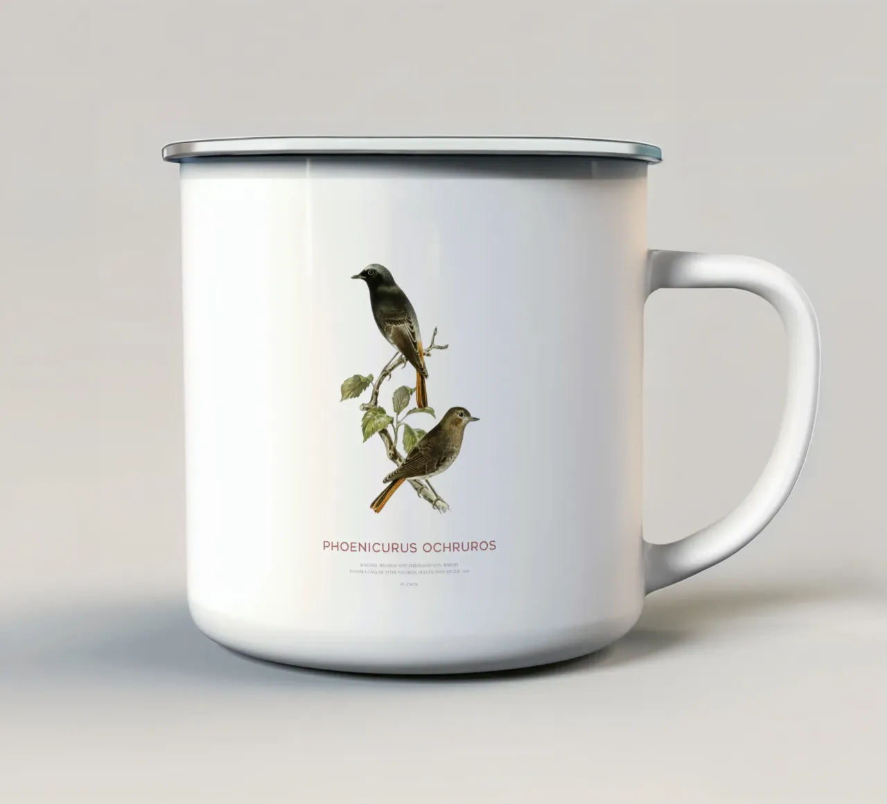 Codirosso nero o Phoenicurus ochruros tazza in smalto da Vintagrafica