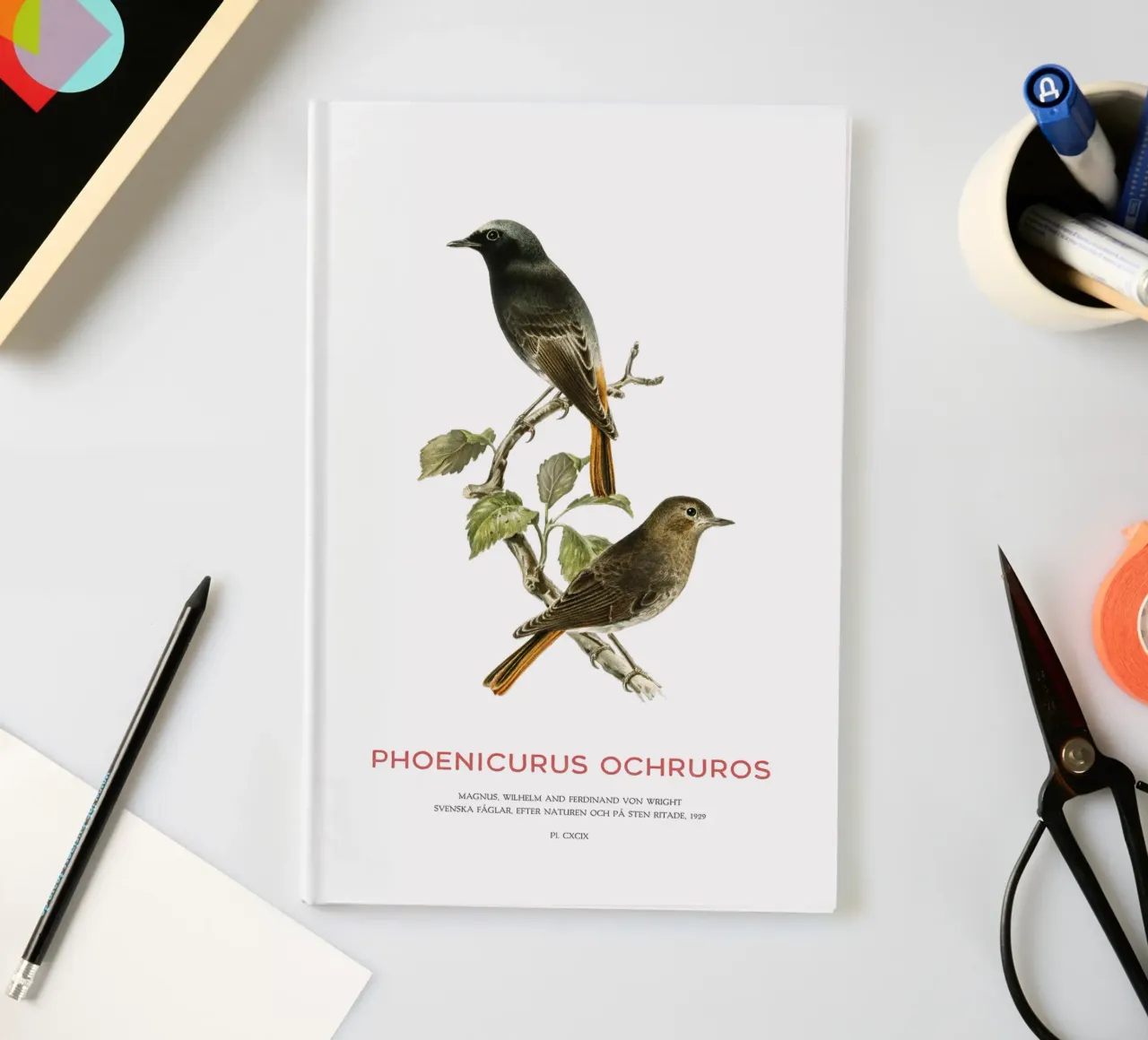 Black redstart or Phoenicurus ochruros notebook by Vintagrafica