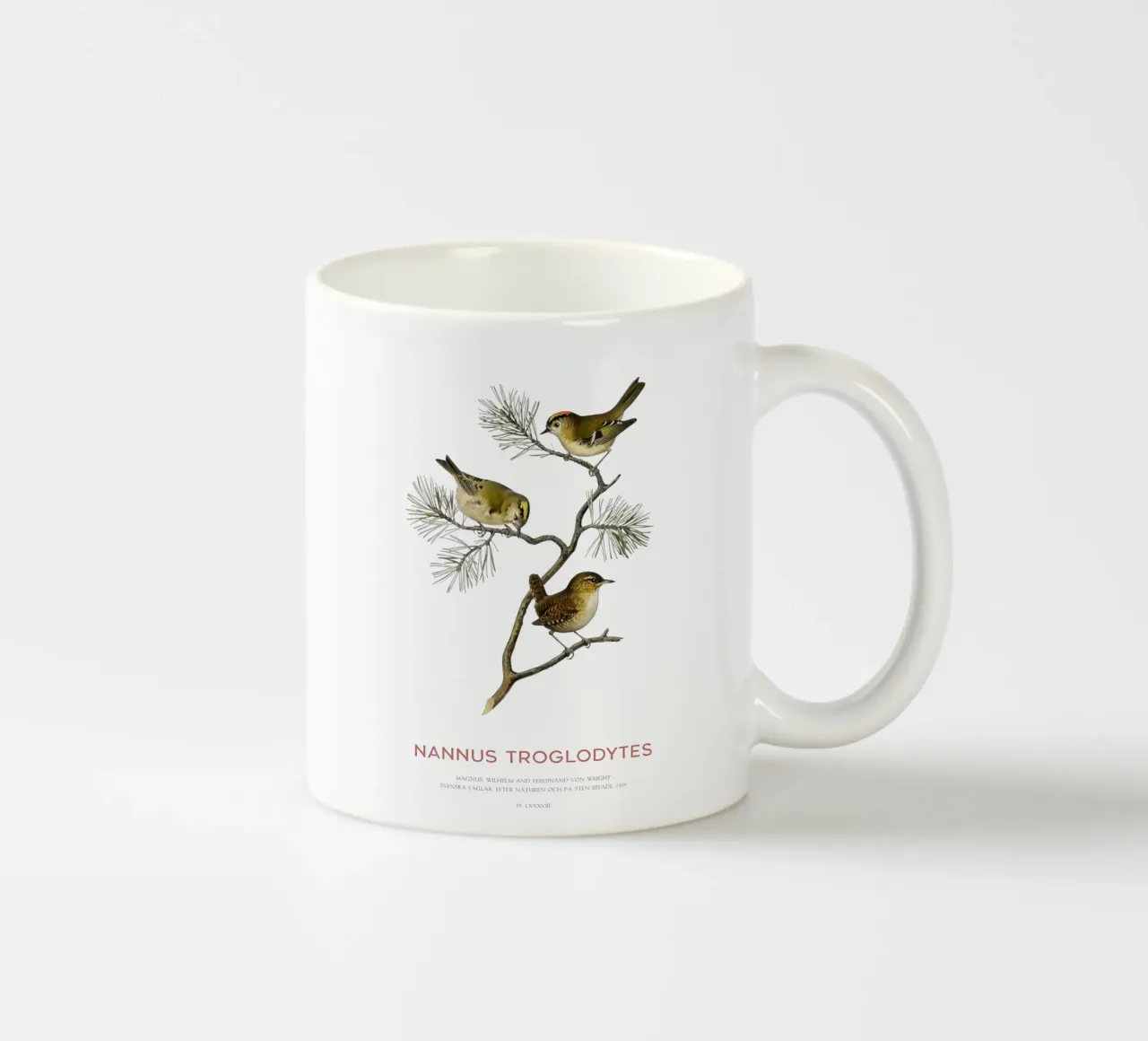 Scricciolo settentrionale o Nannus troglodytes tazza in ceramica da Vintagrafica