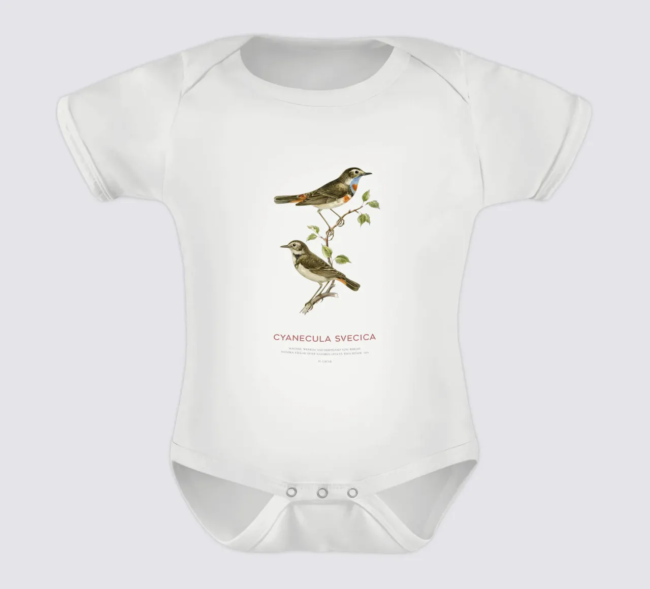 Blaukehlchen oder Cyanecula svecica Kurzarm Babybody von Vintagrafica