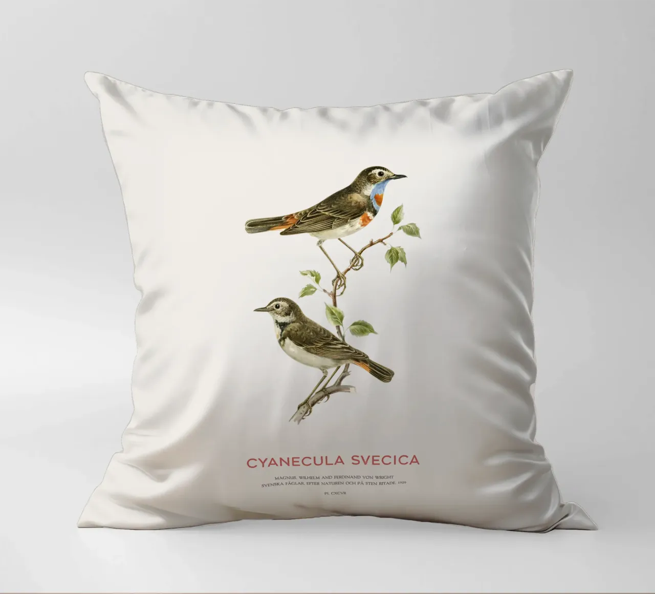 Beccogrosso o Cyanecula svecica cuscino da Vintagrafica