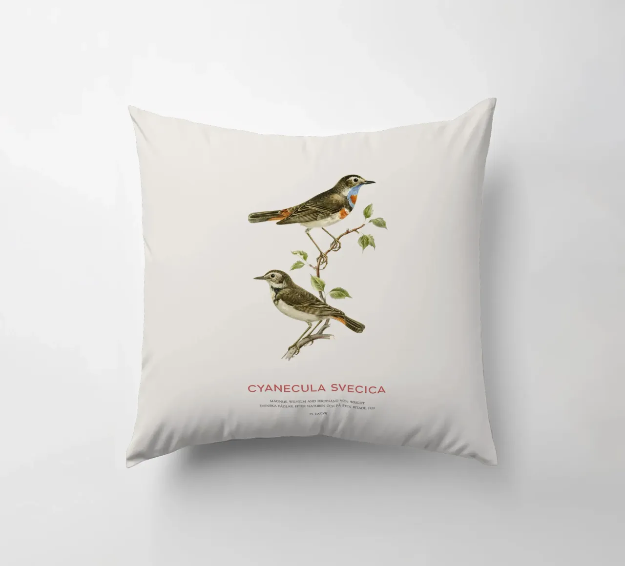 Beccogrosso o Cyanecula svecica cuscino da Vintagrafica
