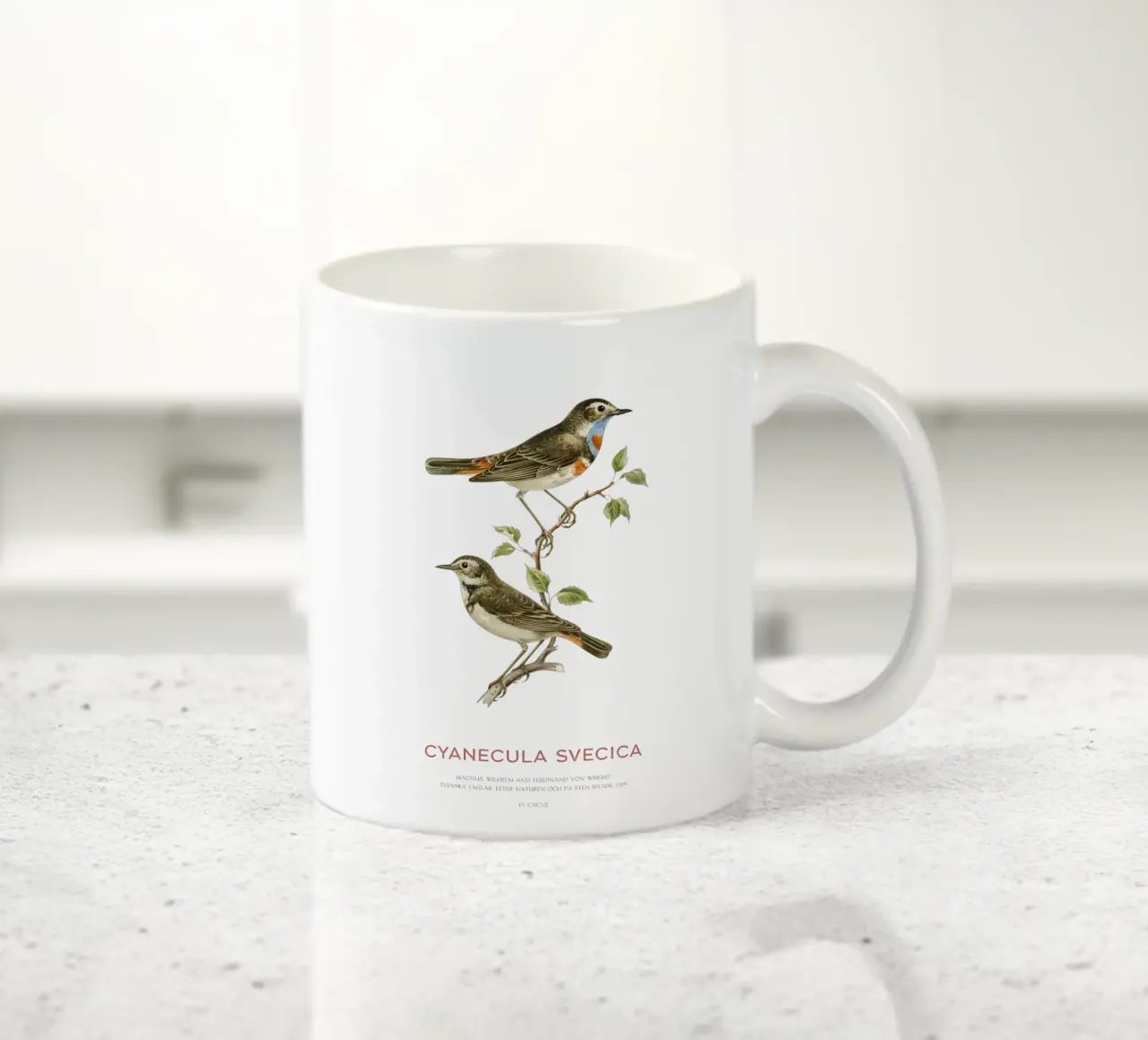 Beccogrosso o Cyanecula svecica tazza in ceramica da Vintagrafica