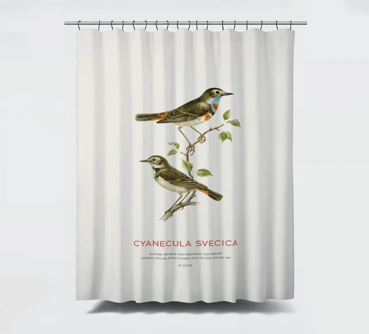 Blaukehlchen oder Cyanecula svecica Duschvorhang von Vintagrafica