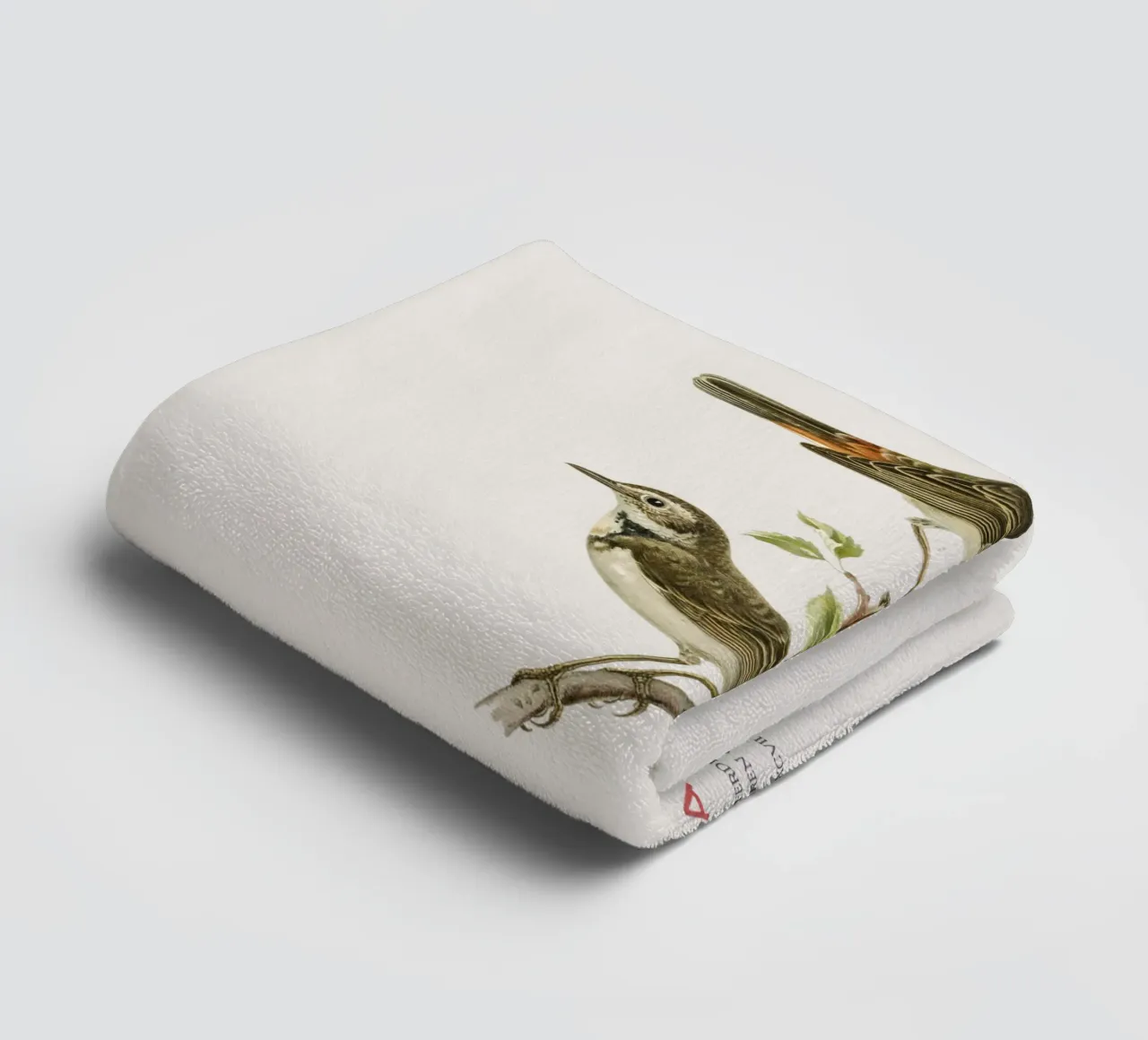 Blaukehlchen oder Cyanecula svecica Handtuch von Vintagrafica