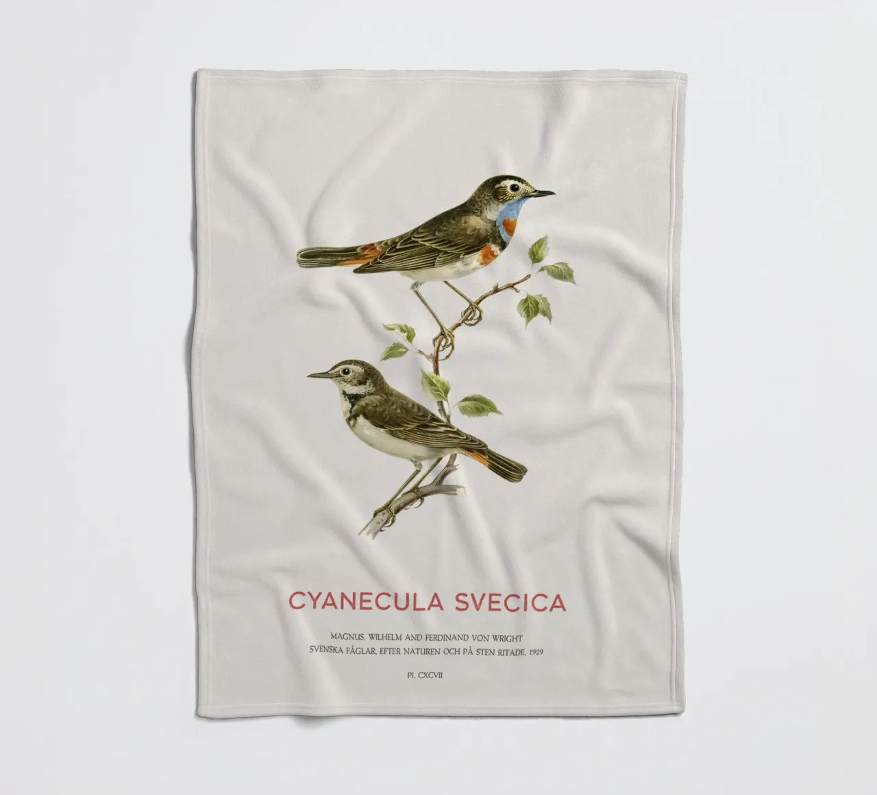 Beccogrosso o Cyanecula svecica coperta in pile da Vintagrafica