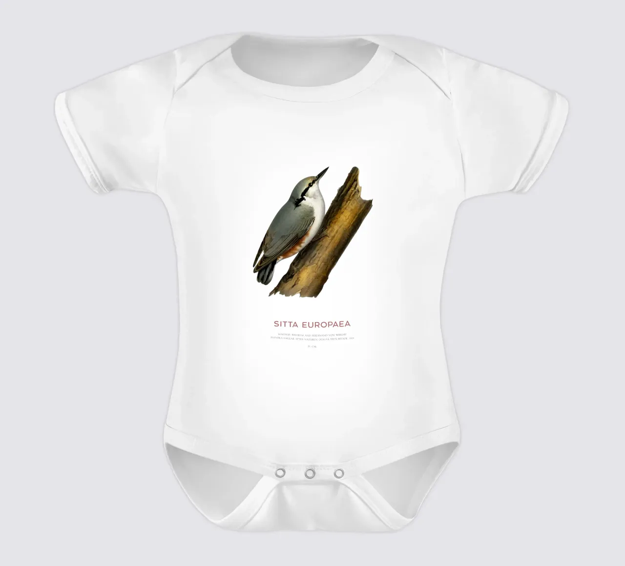 Waldkleiber oder Sitta europaea Kurzarm Babybody von Vintagrafica