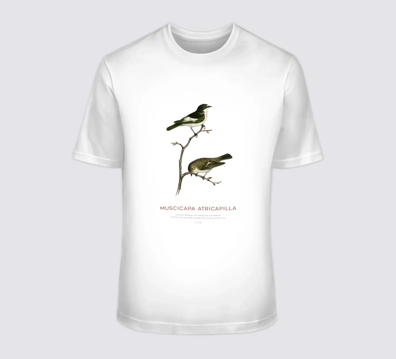 Papamoscas cerrojillo o Muscicapa atricapilla camiseta de Vintagrafica